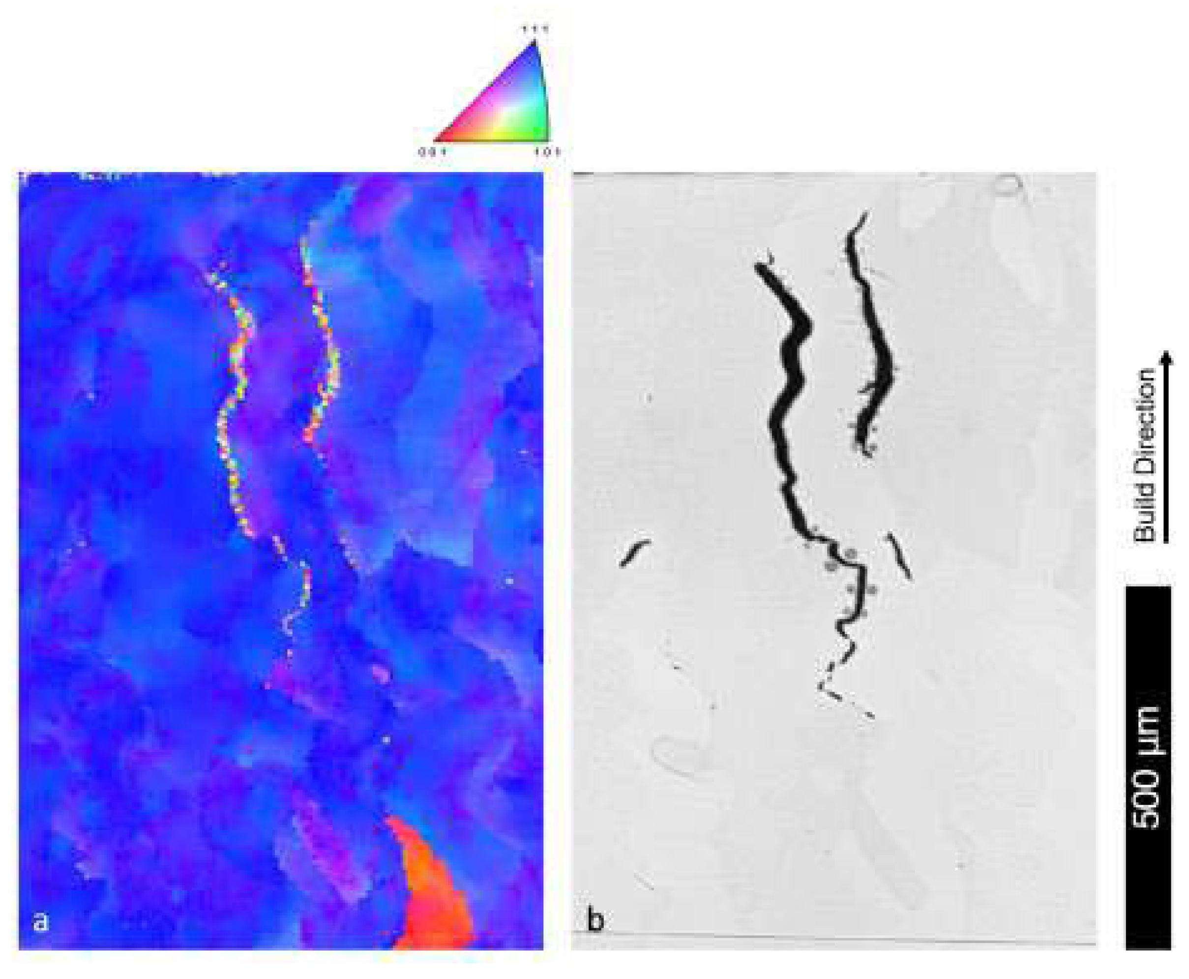 Preprints 109427 g011