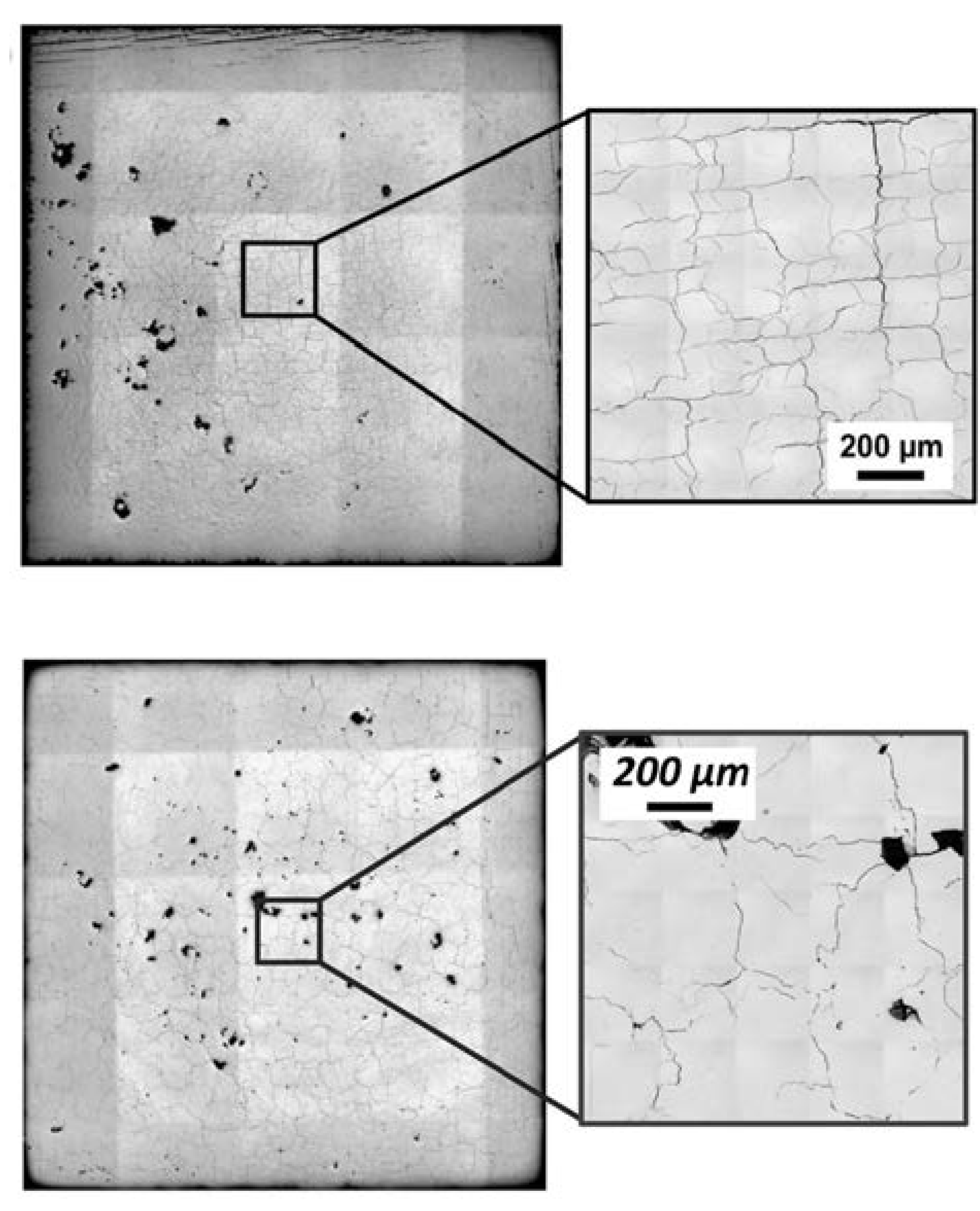 Preprints 109427 g012