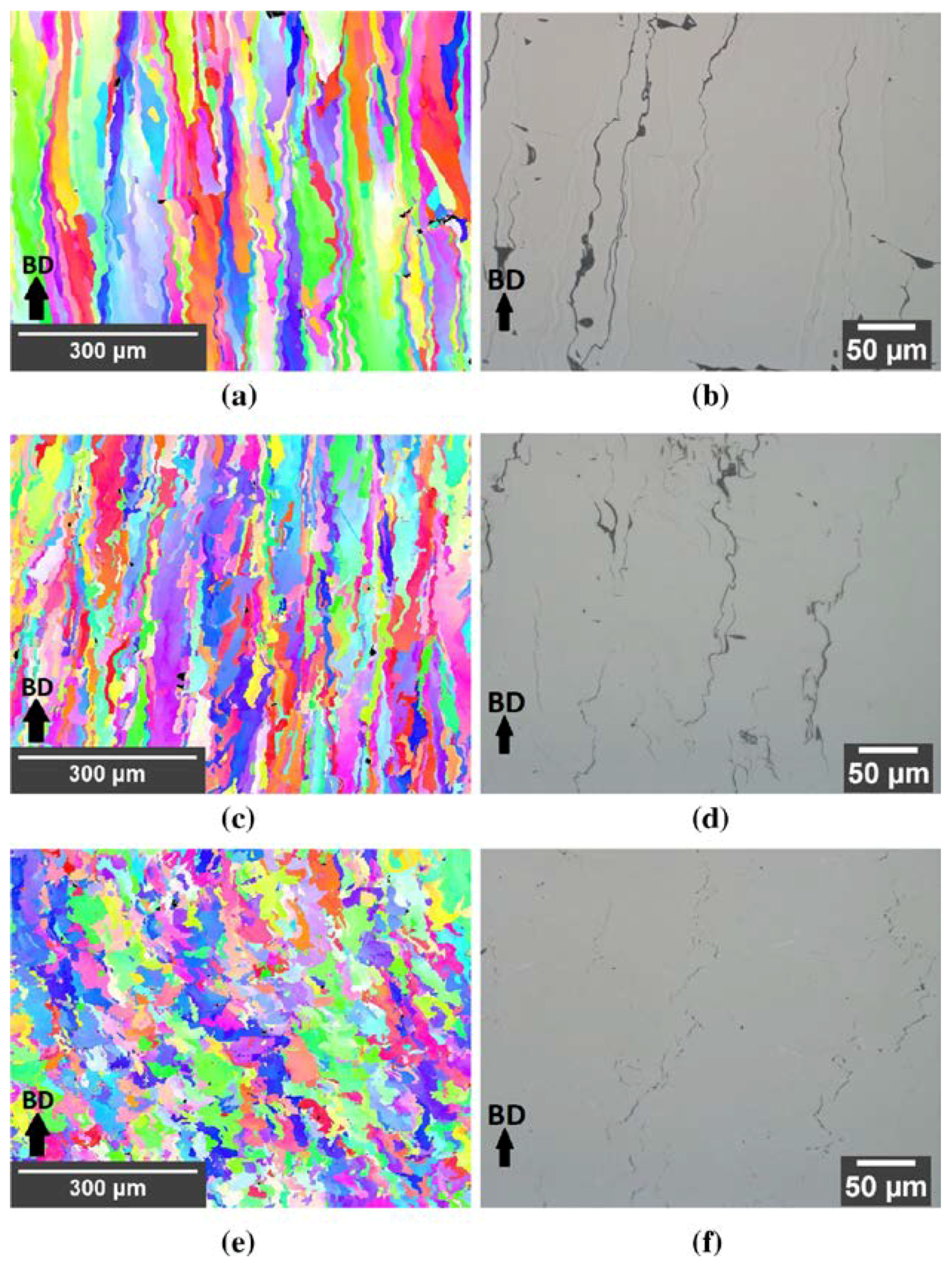 Preprints 109427 g017