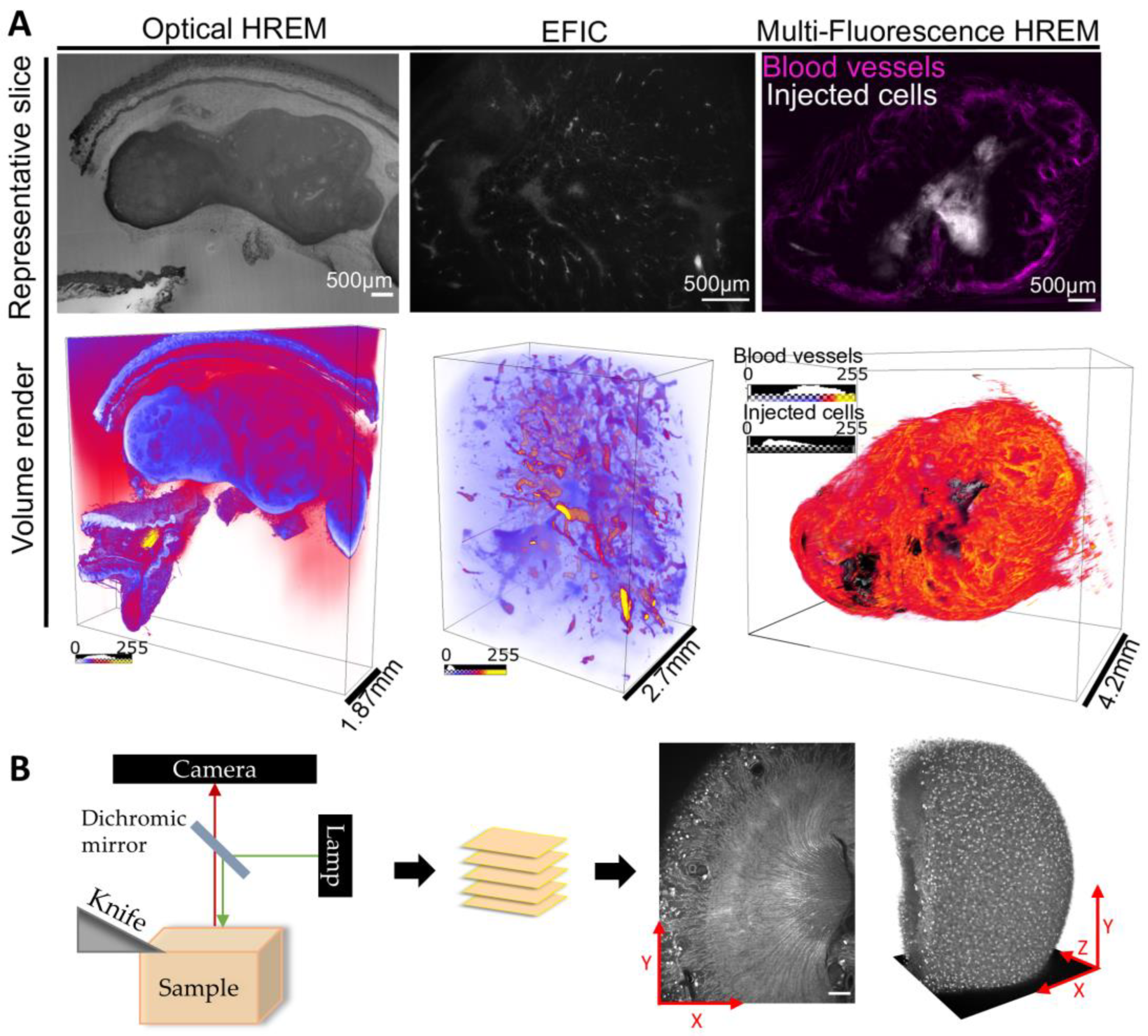 Preprints 69416 g001