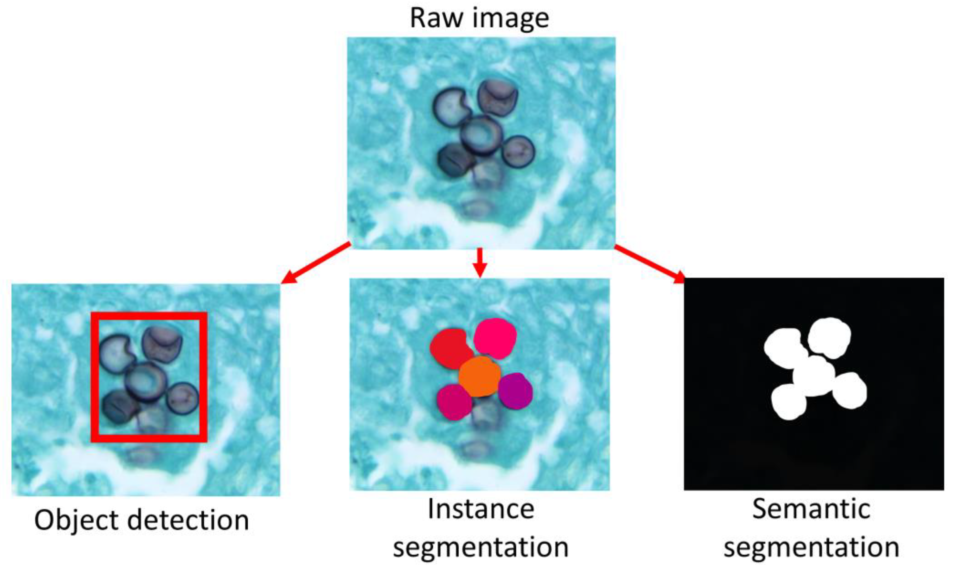 Preprints 69416 g002