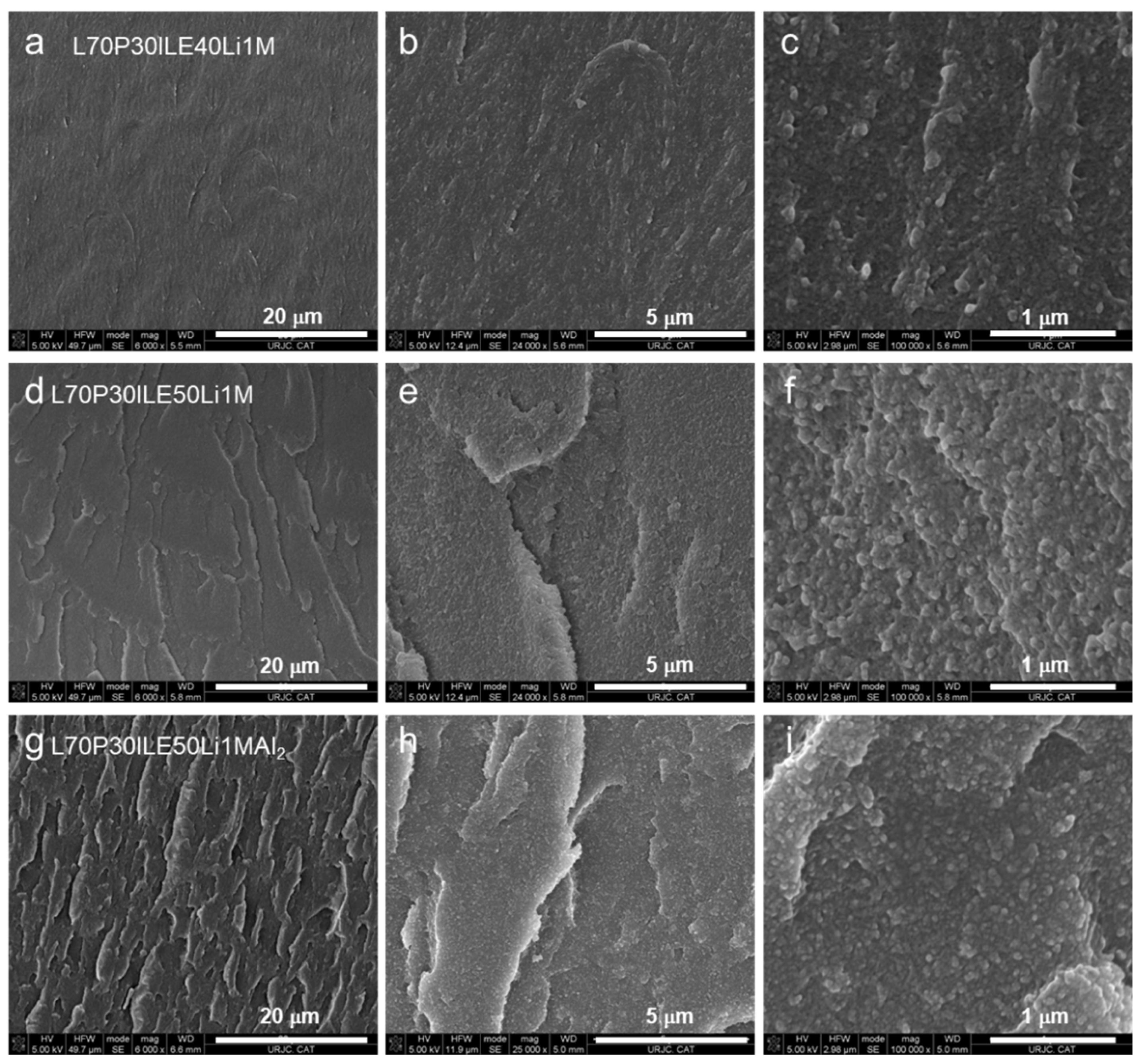 Preprints 110405 g004