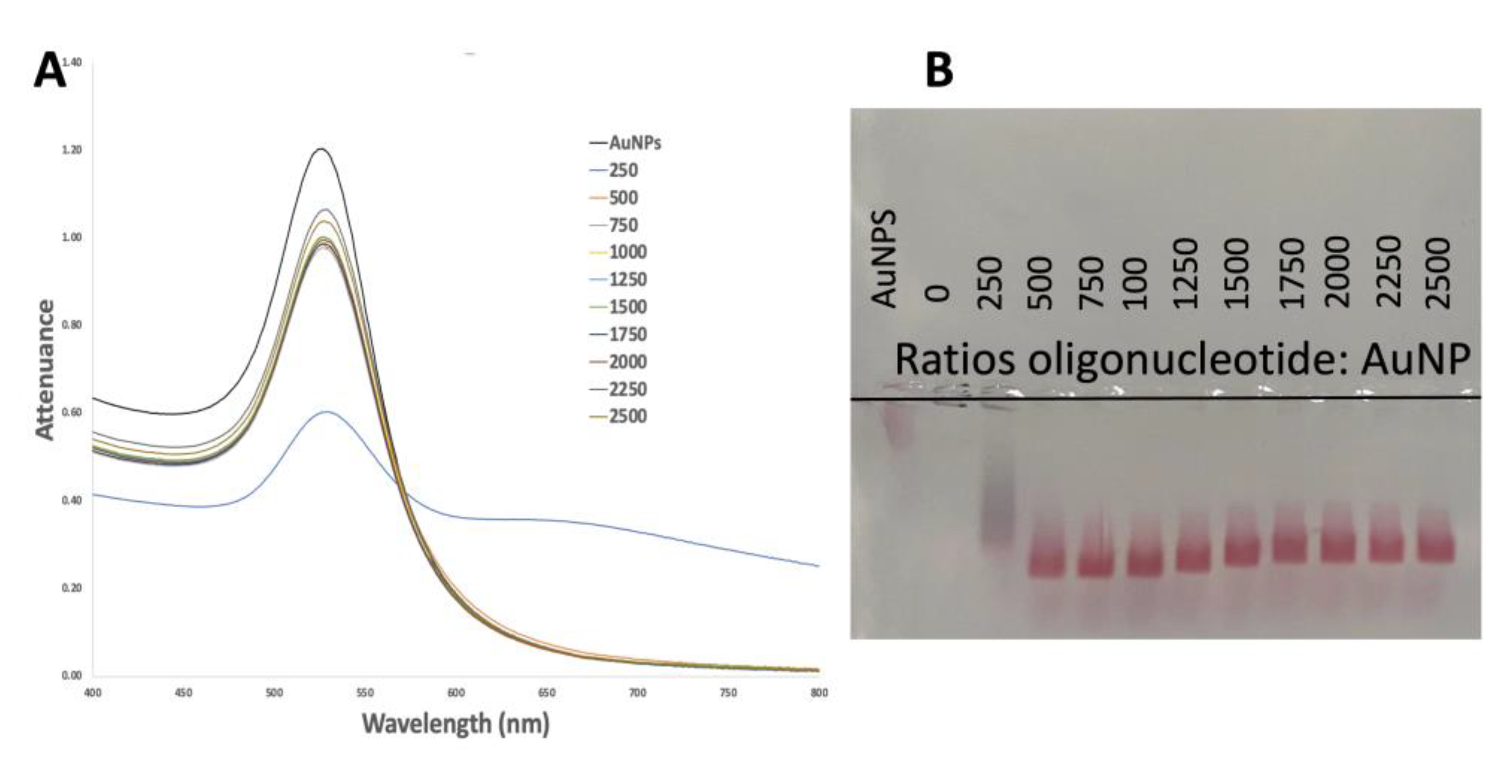 Preprints 100604 g002