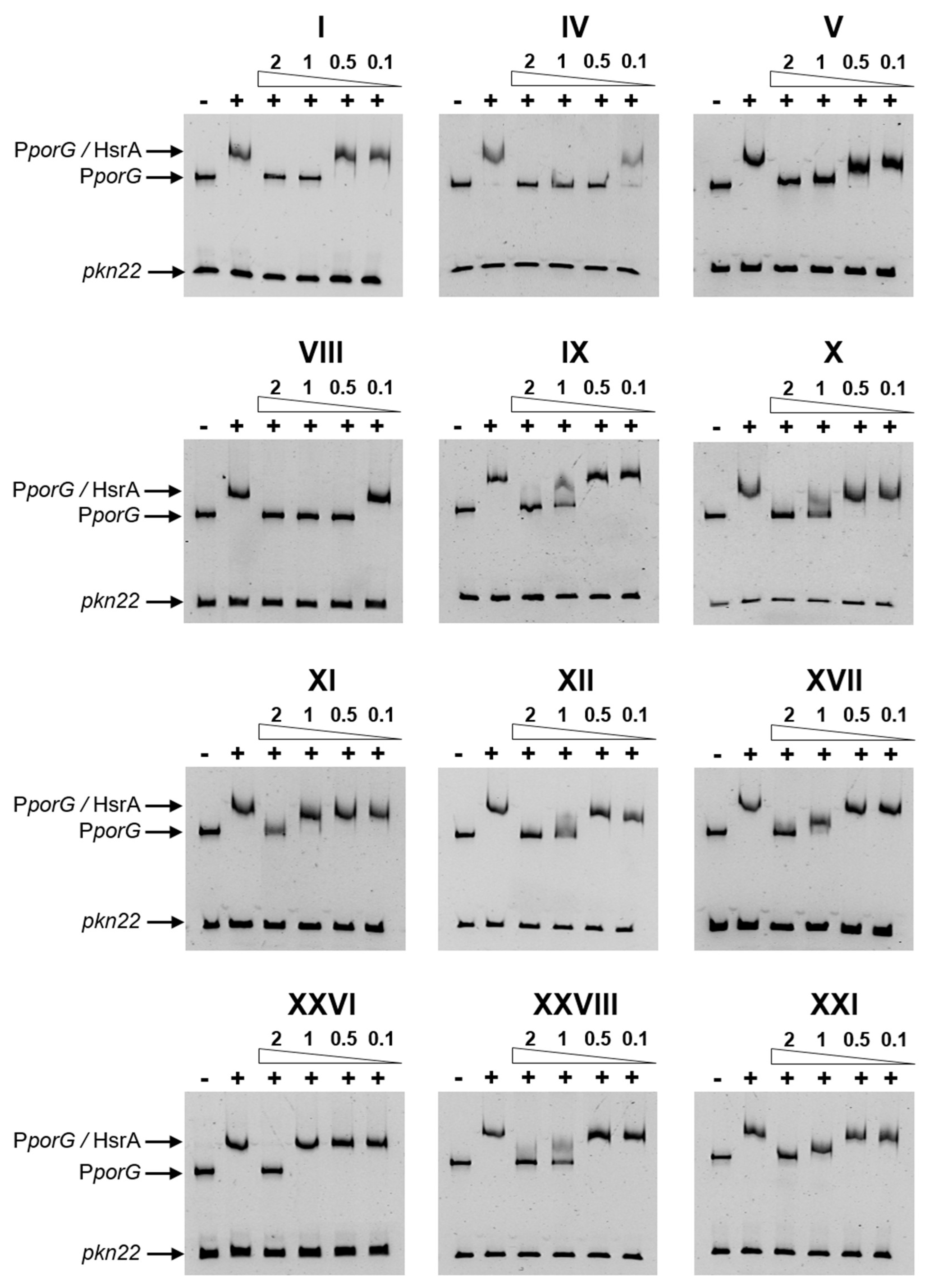 Preprints 117276 g002