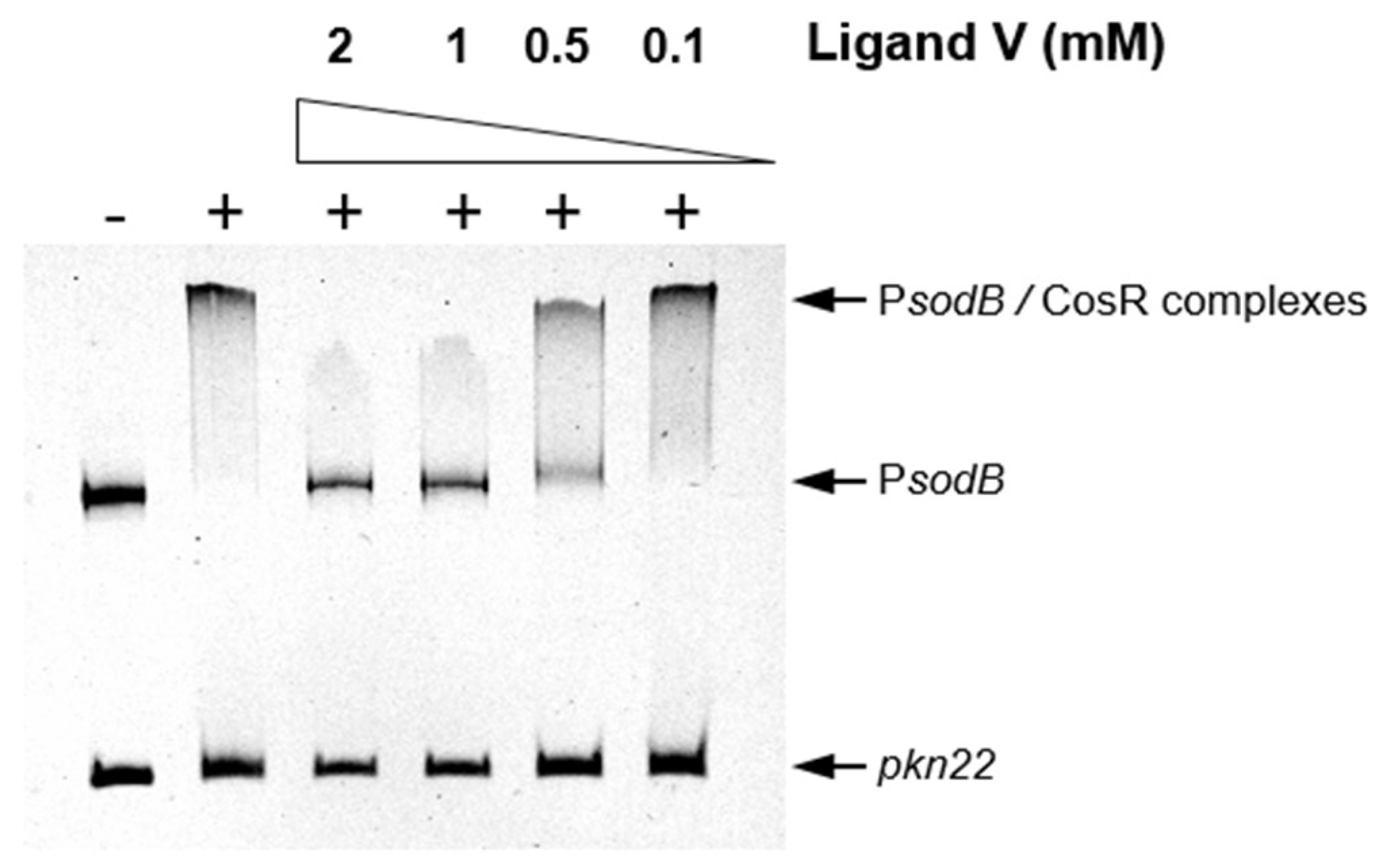 Preprints 117276 g004