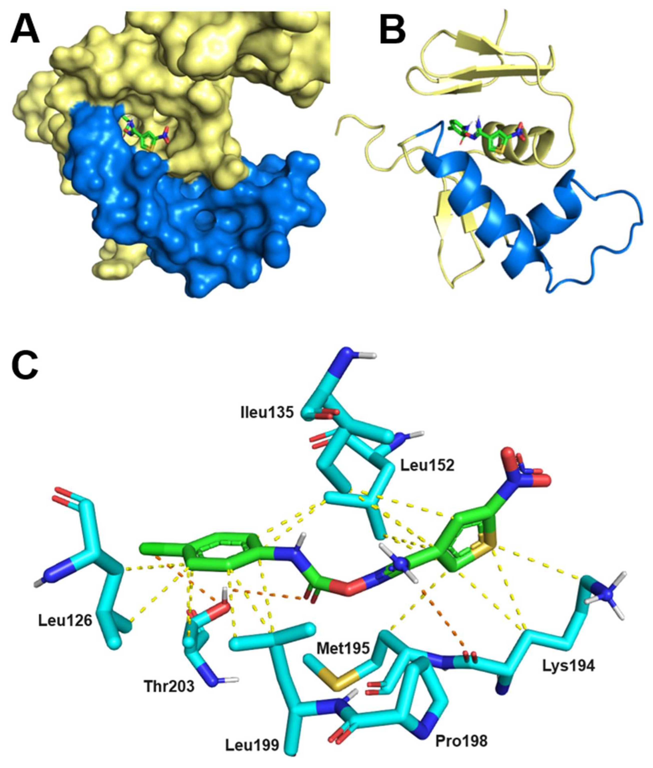 Preprints 117276 g006