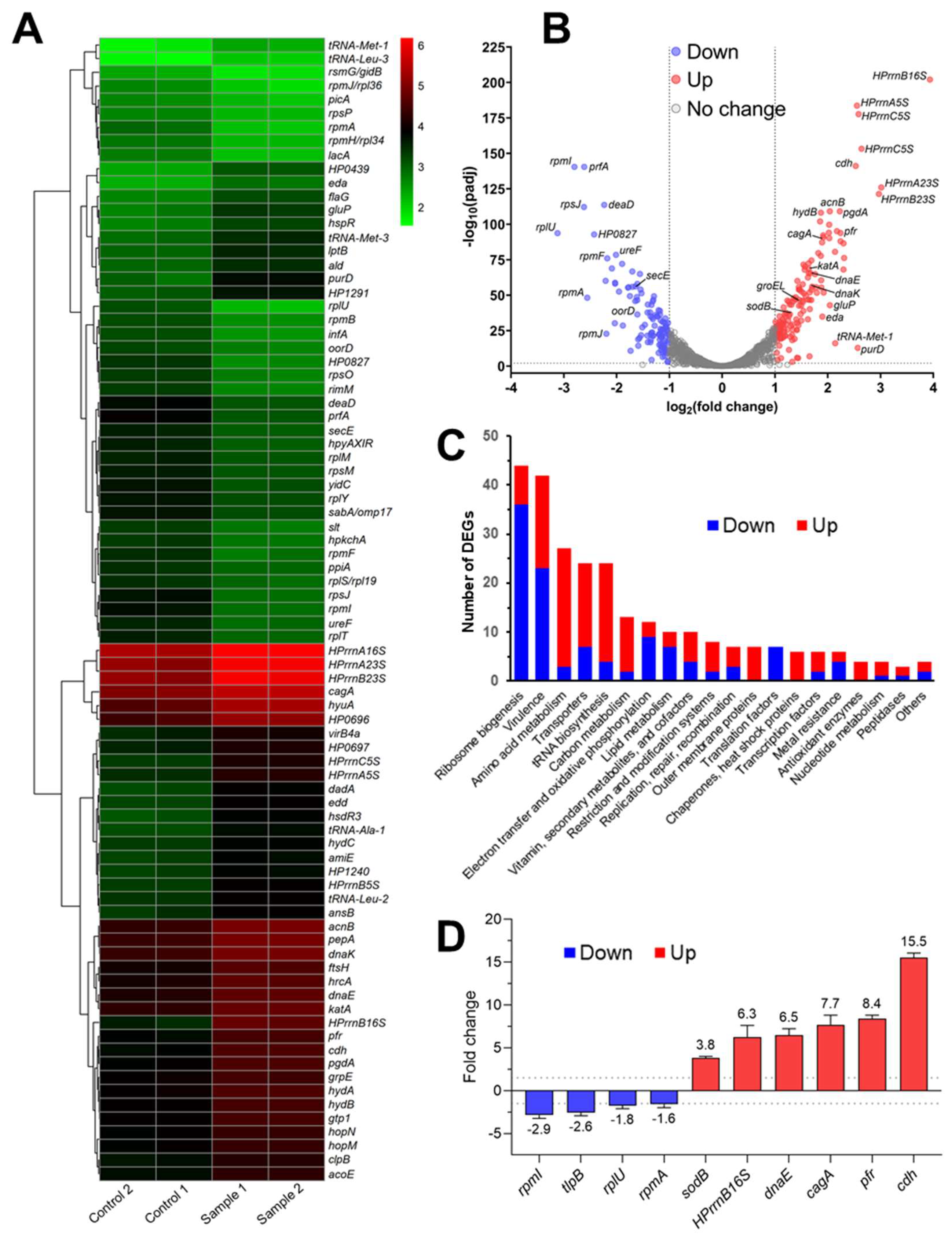 Preprints 117276 g007