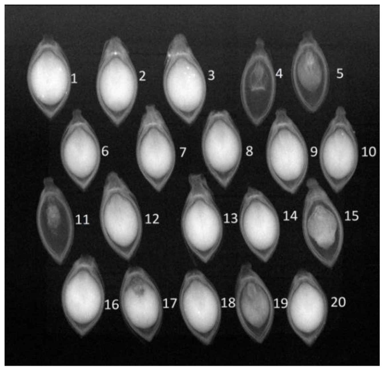 Preprints 96061 g002