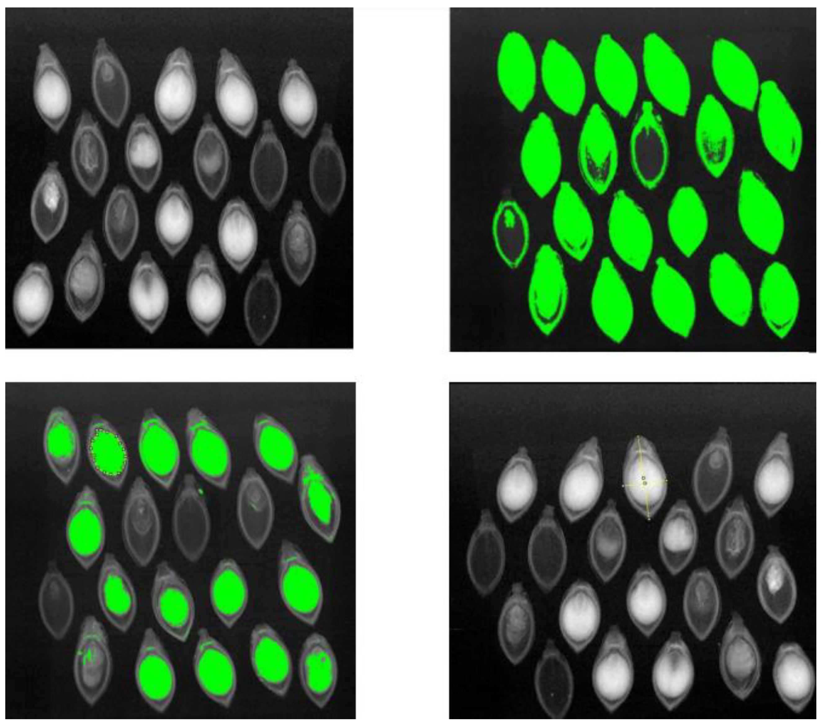 Preprints 96061 g004