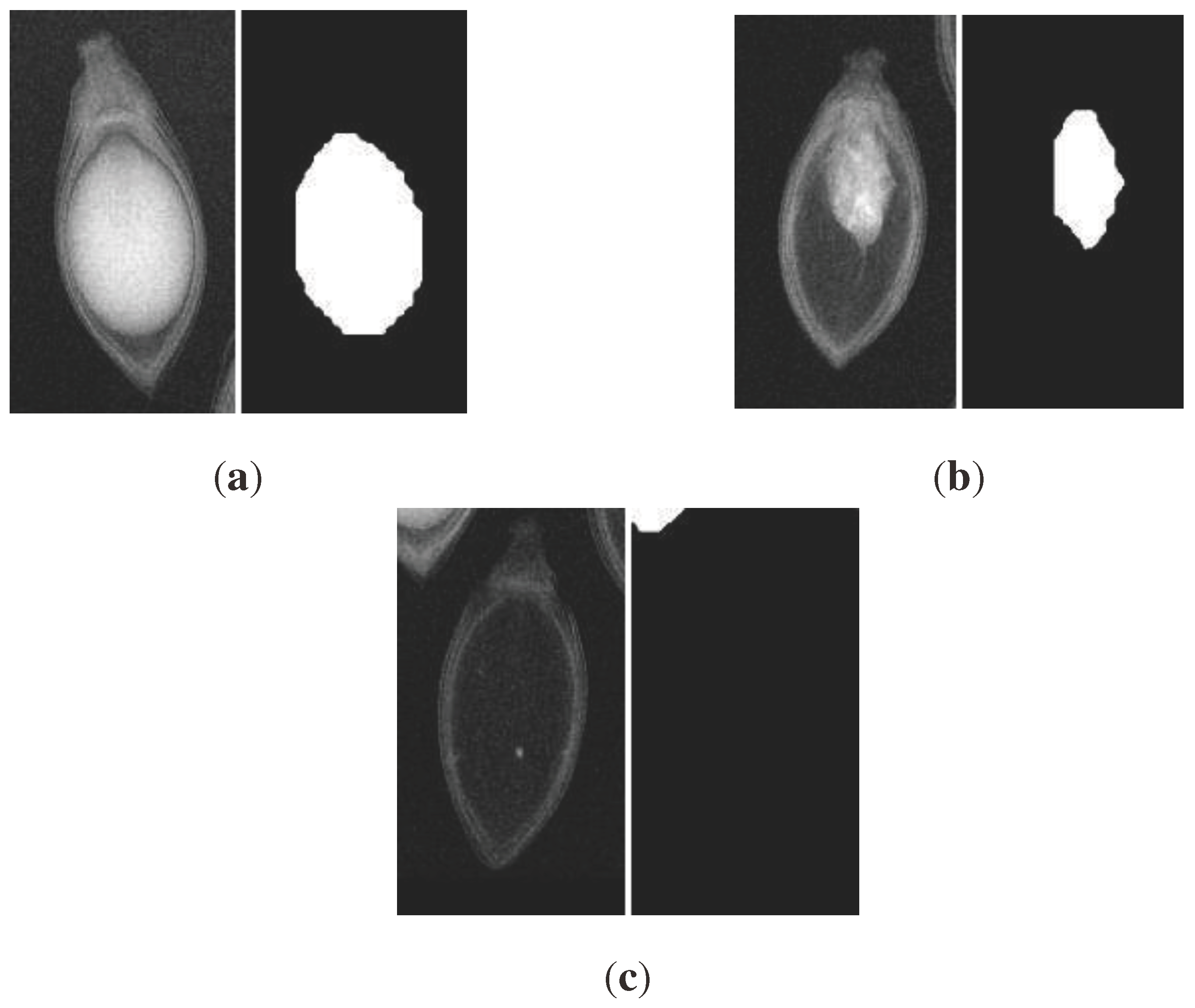 Preprints 96061 g007