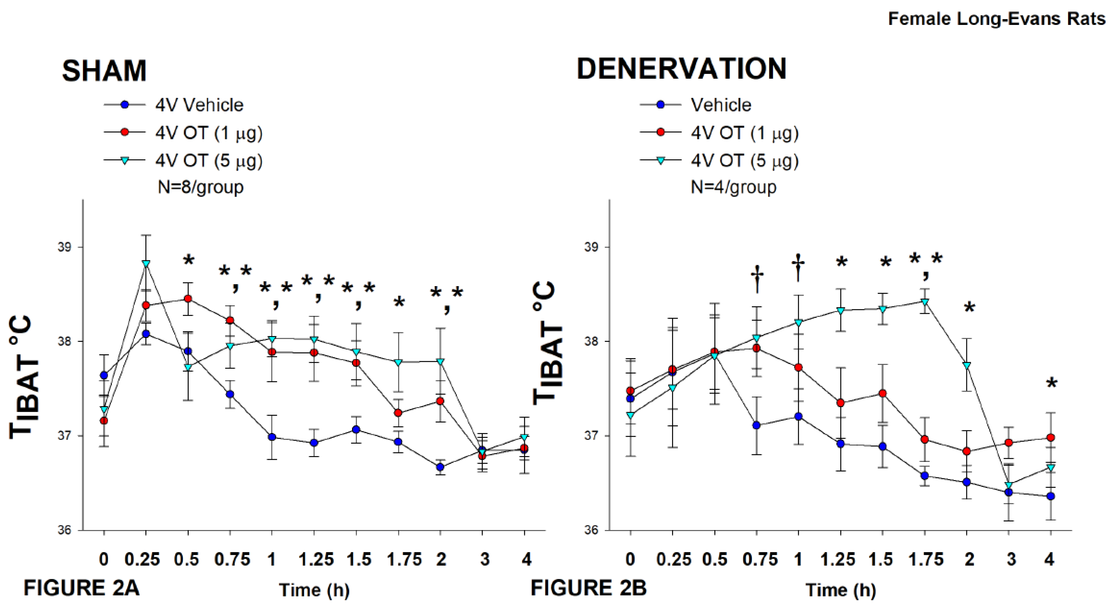 Preprints 120674 g002