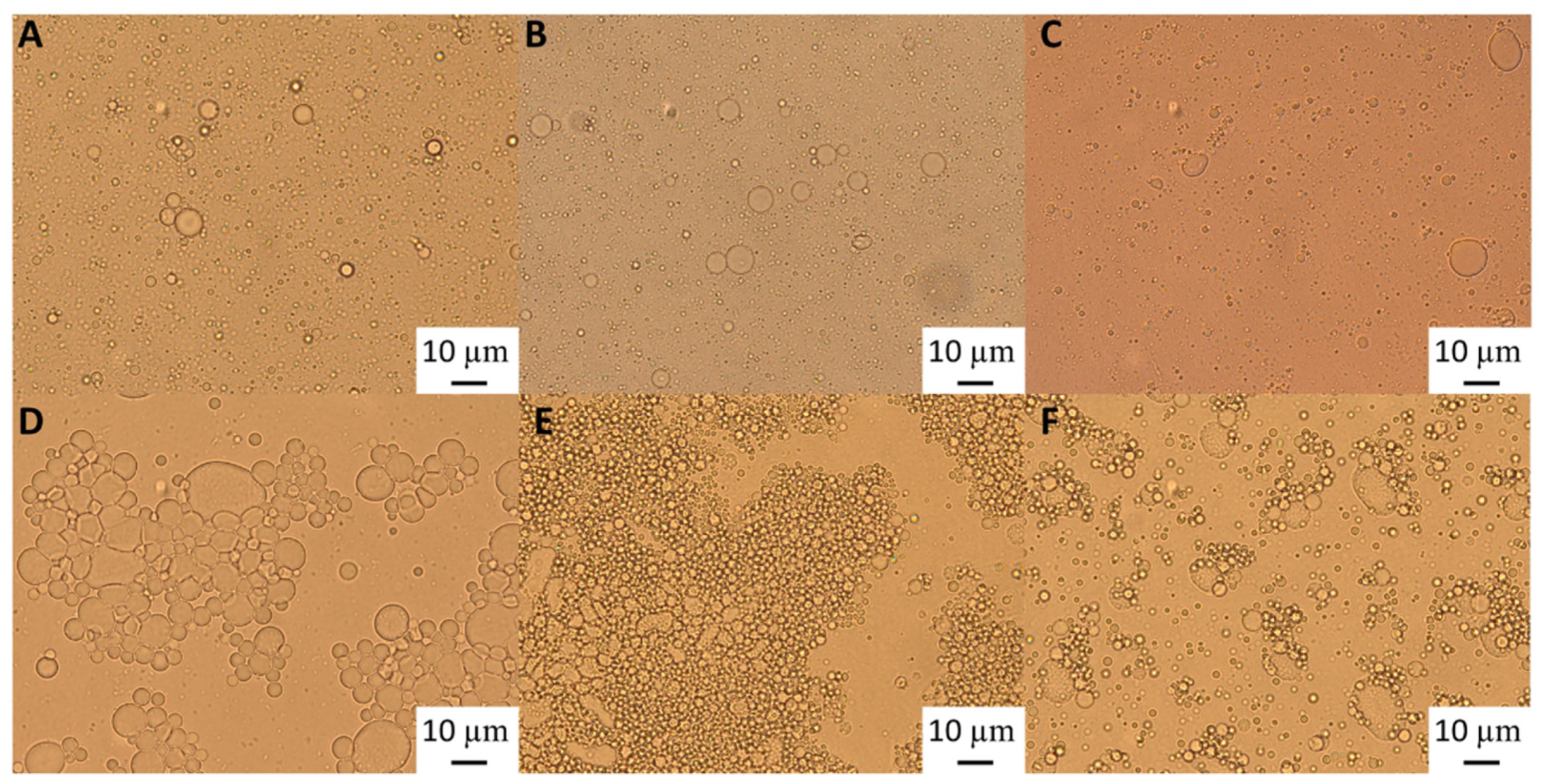 Preprints 84087 g002