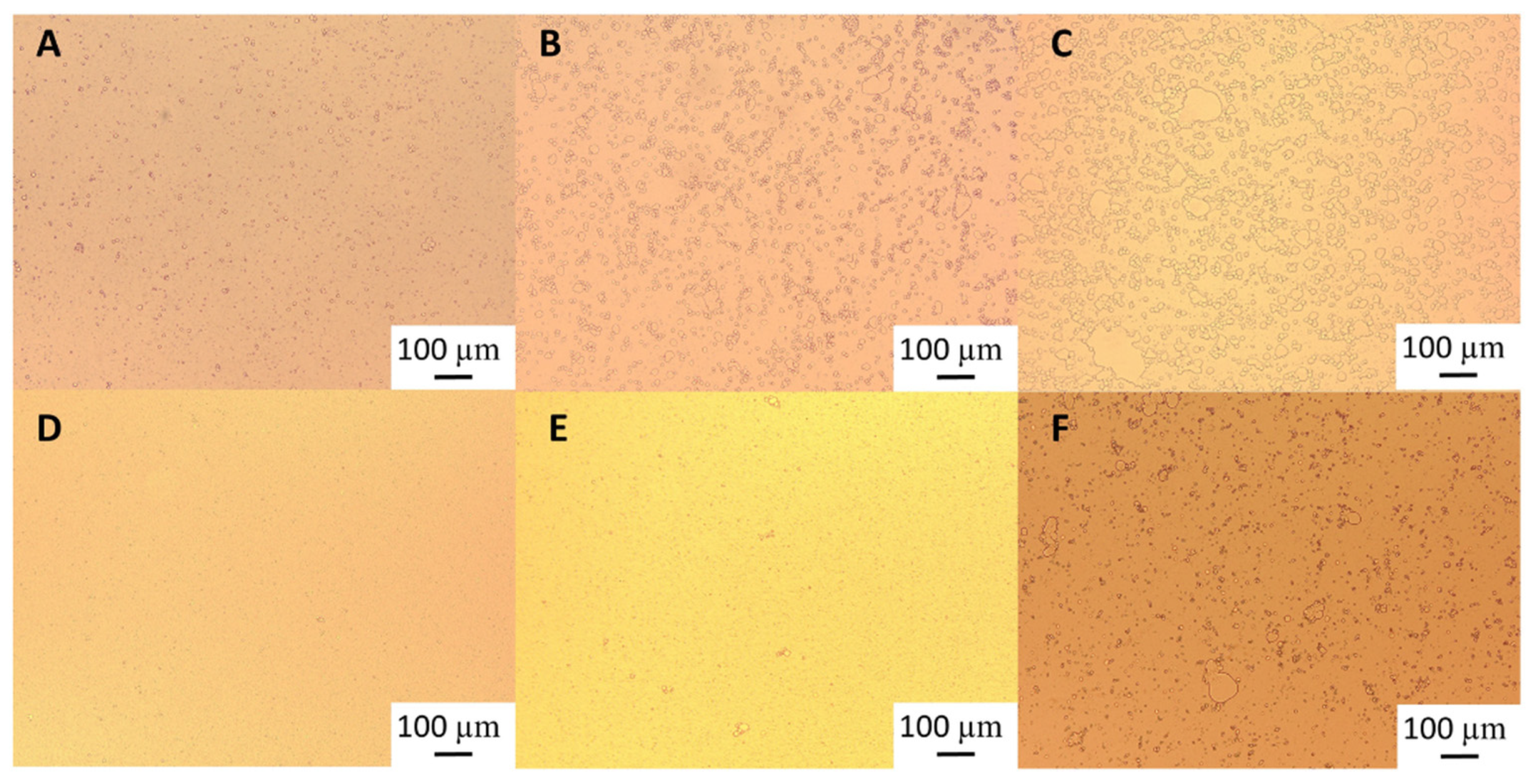 Preprints 84087 g005