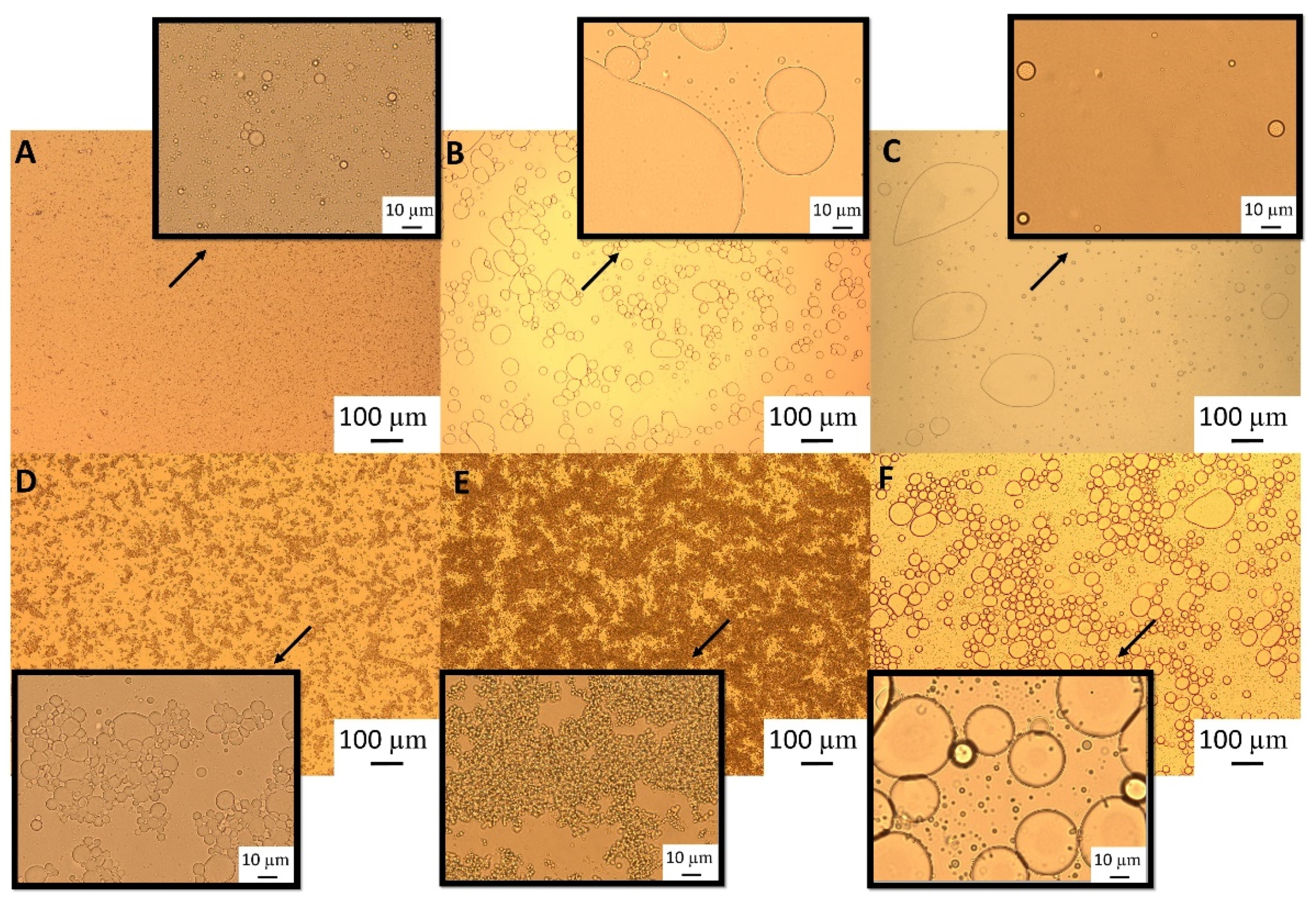 Preprints 84087 g010