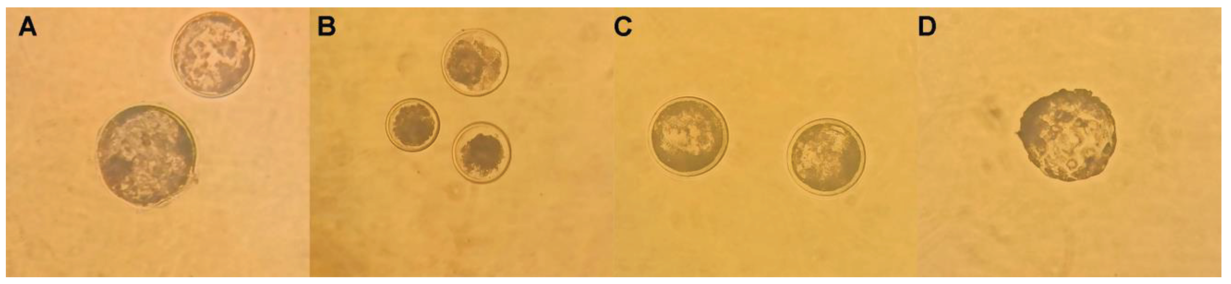 Preprints 86972 g001