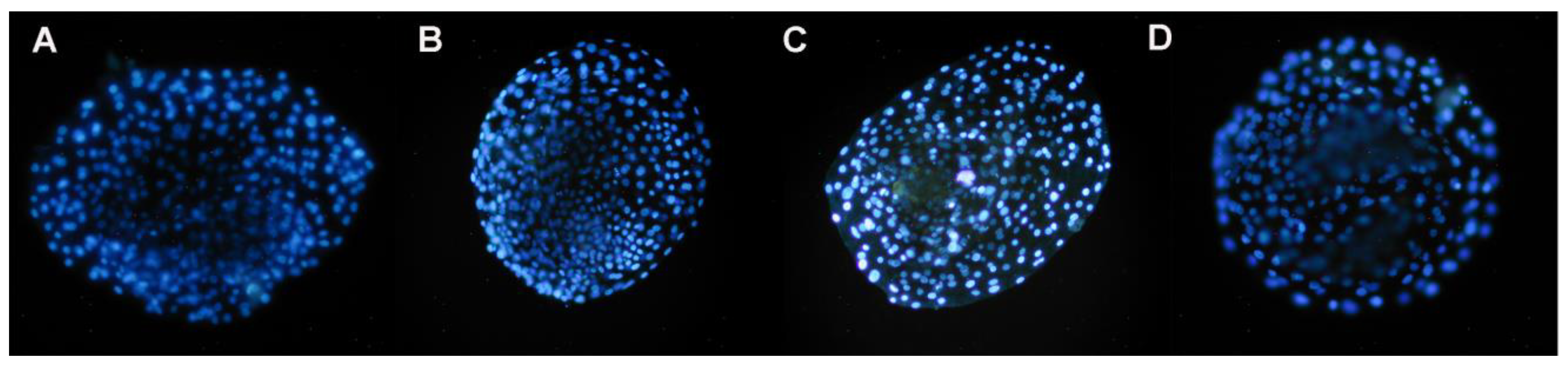 Preprints 86972 g004