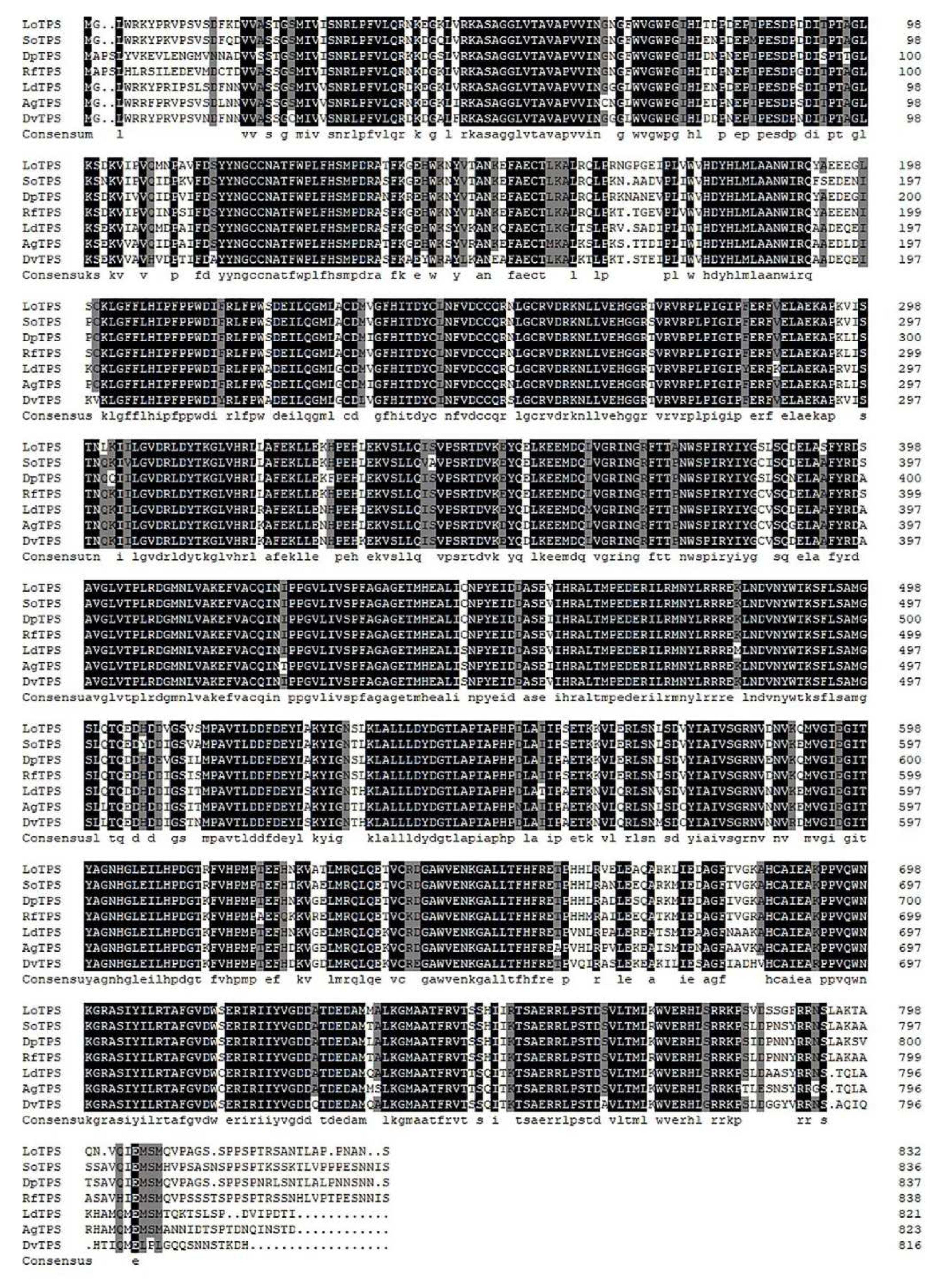 Preprints 87250 g002