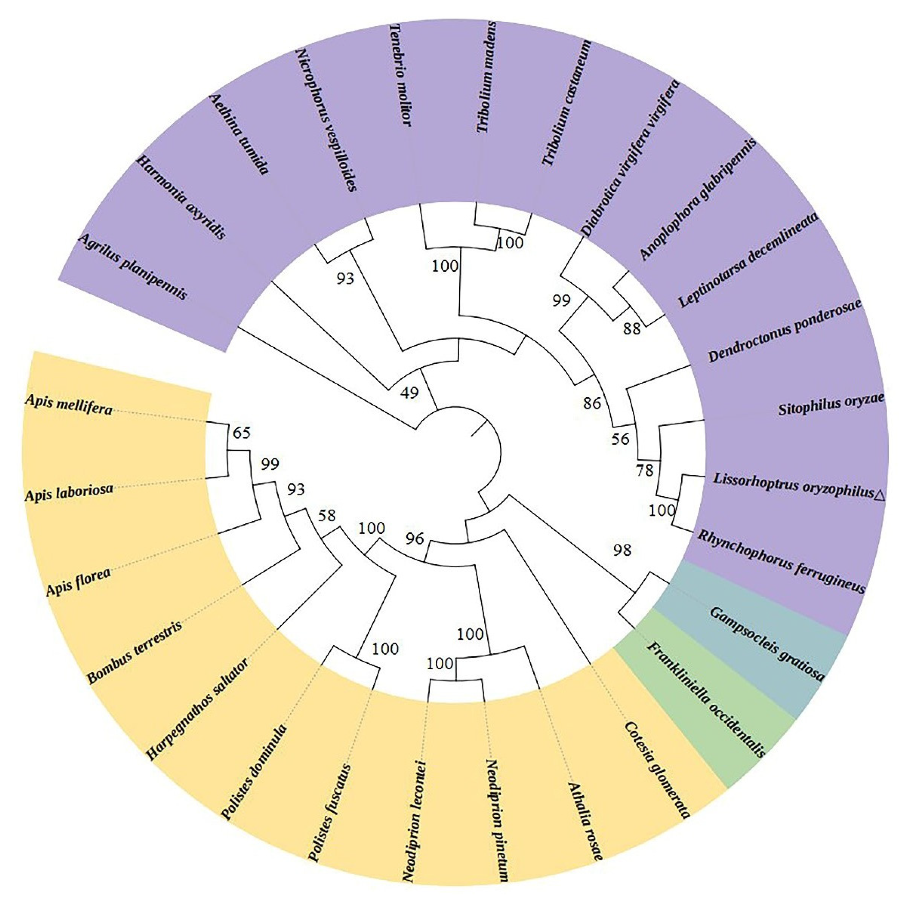 Preprints 87250 g003