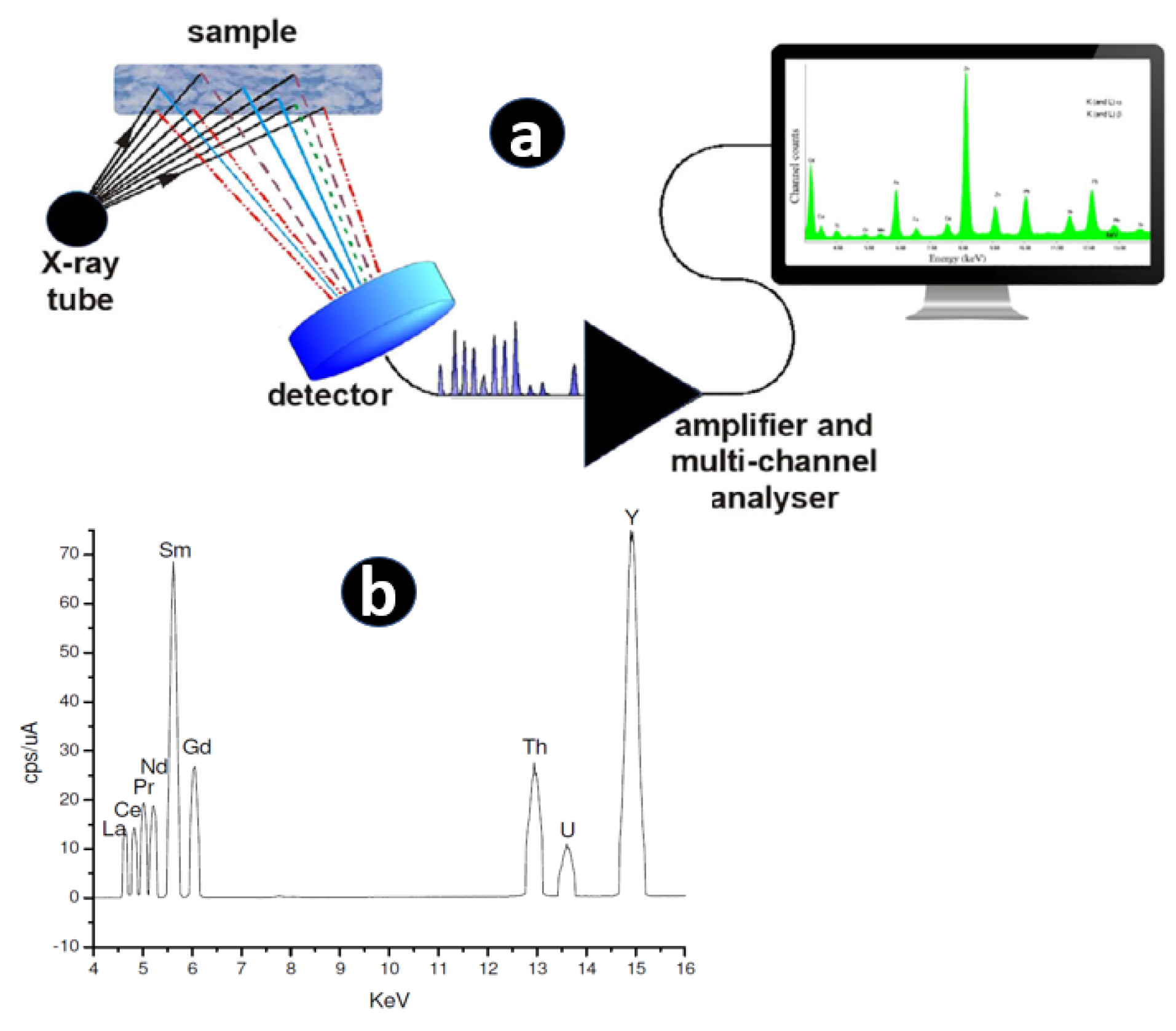 Preprints 75875 g003