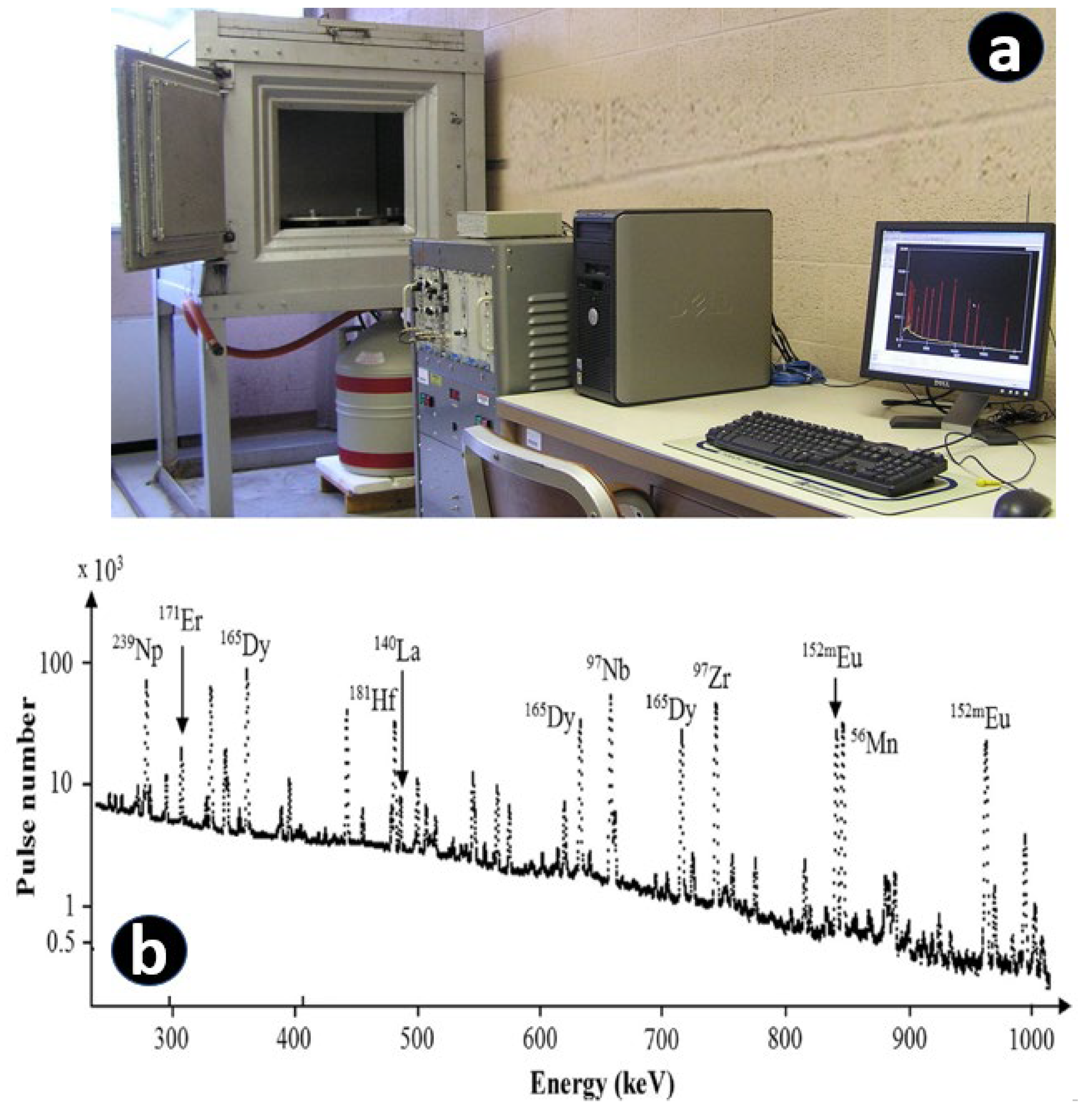 Preprints 75875 g004