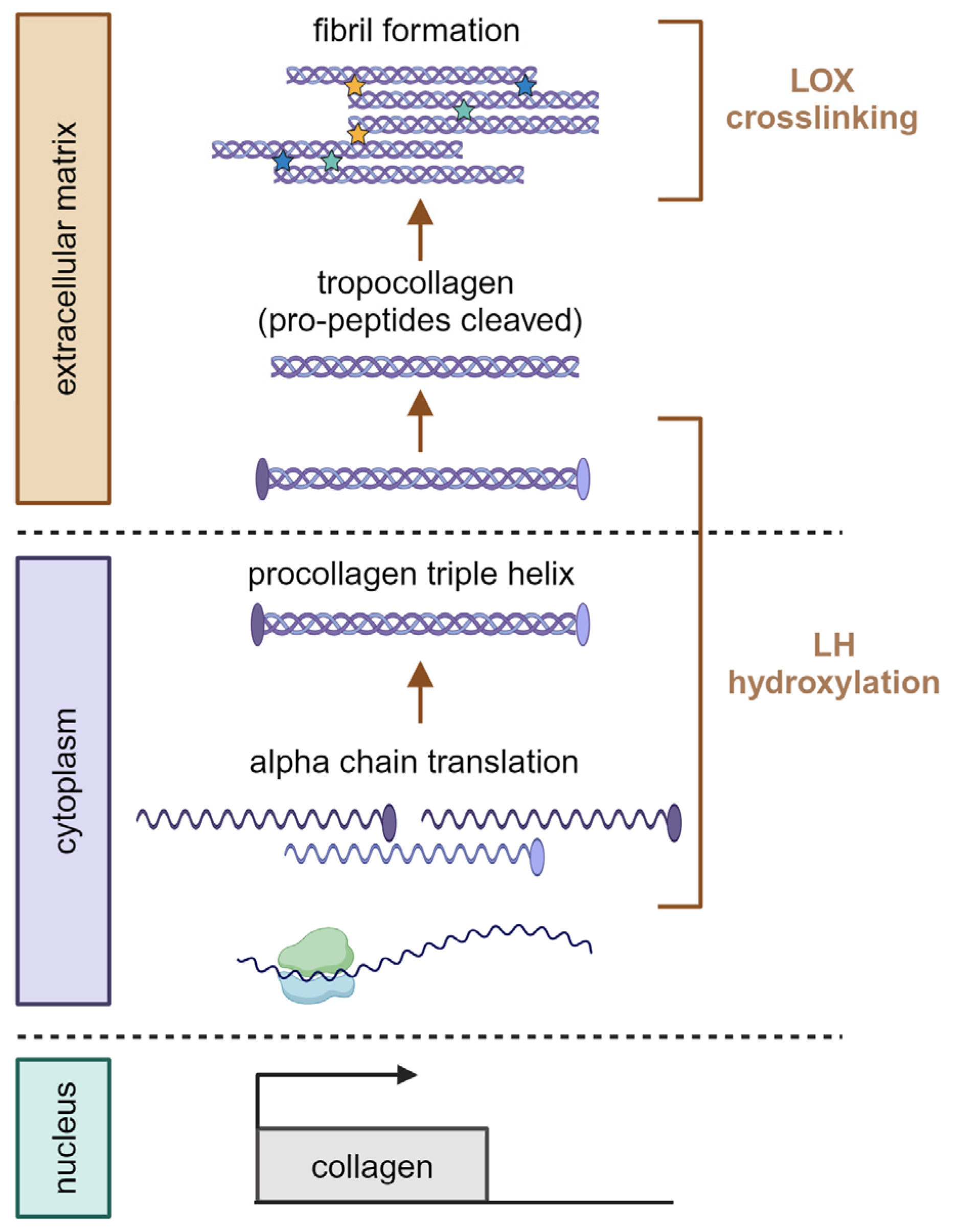 Preprints 98809 g001