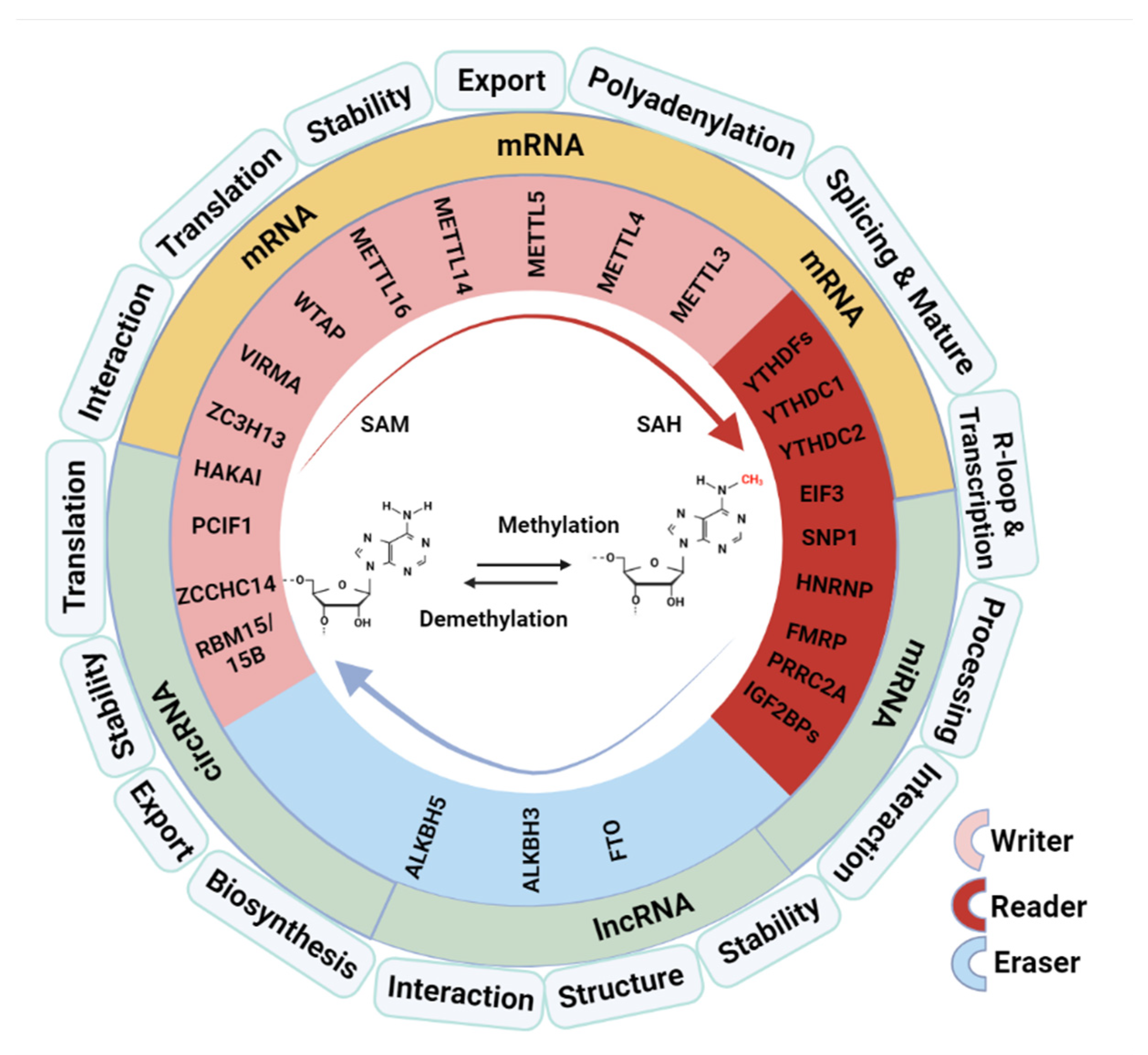 Preprints 96178 g001