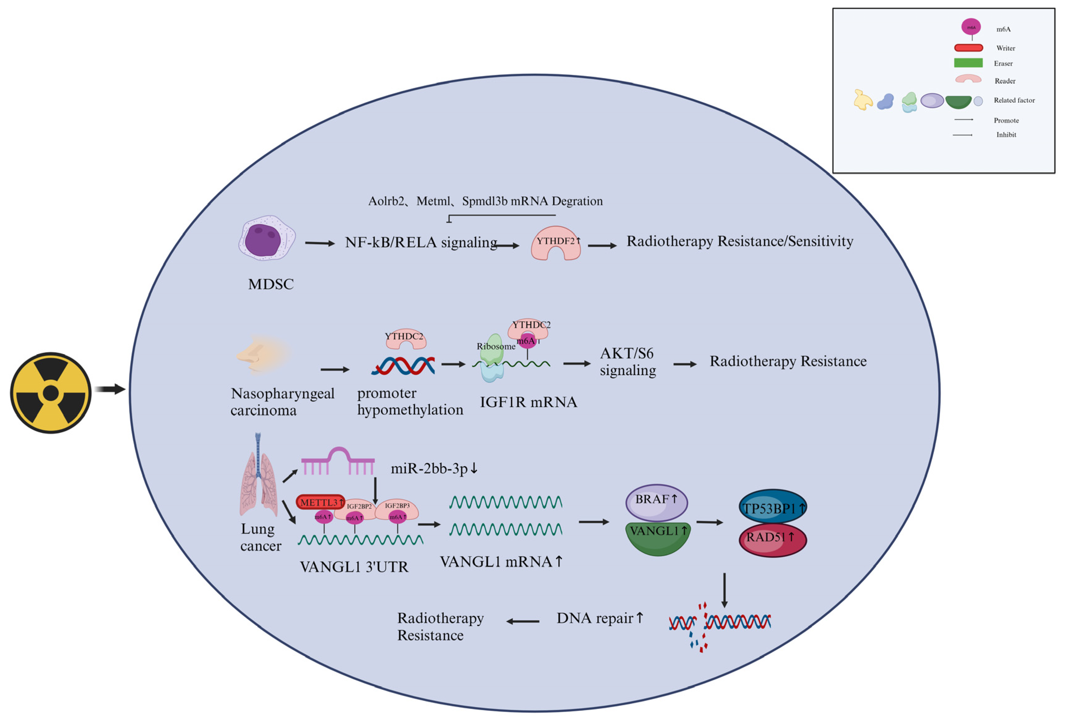 Preprints 96178 g004