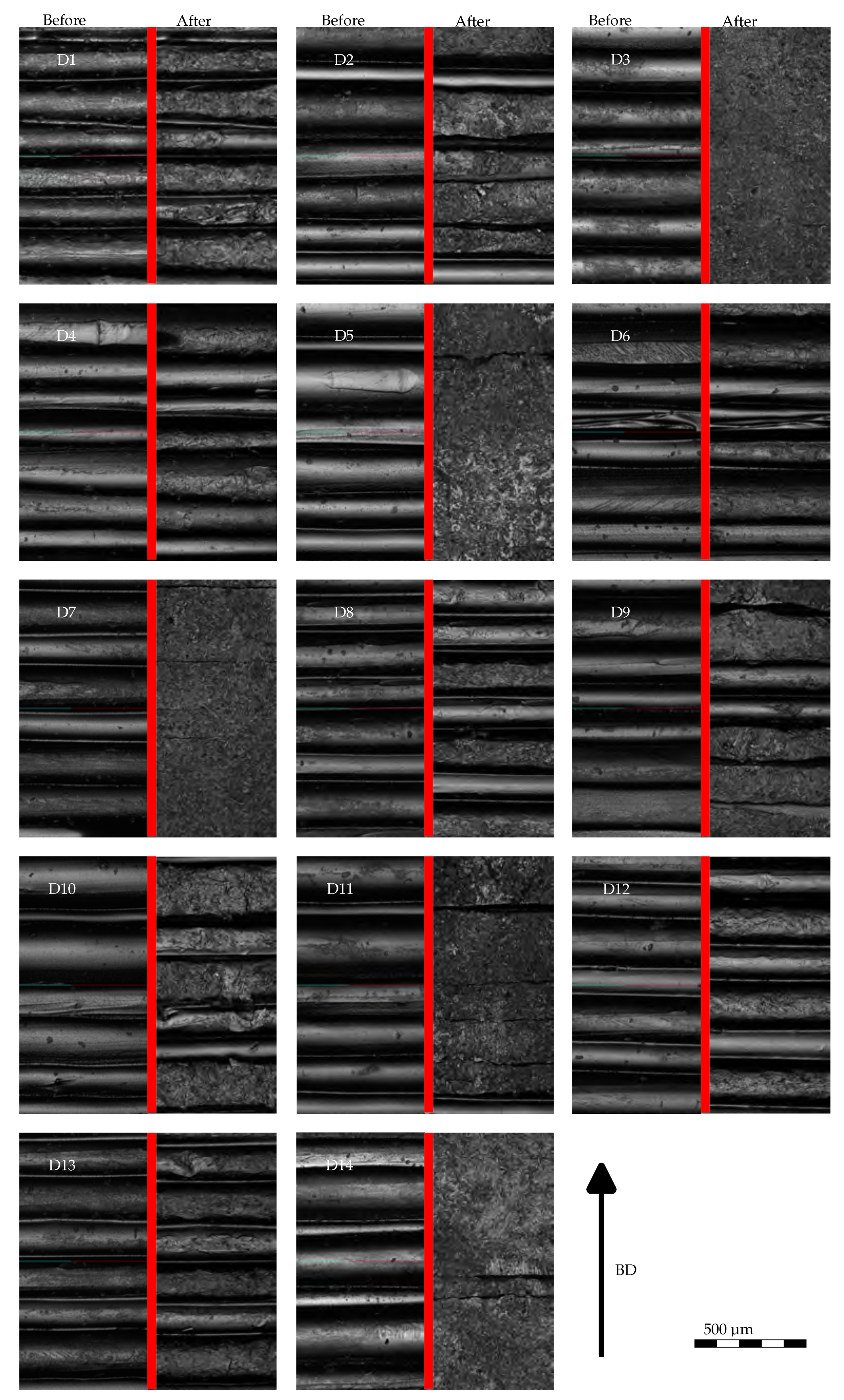 Preprints 113388 g005