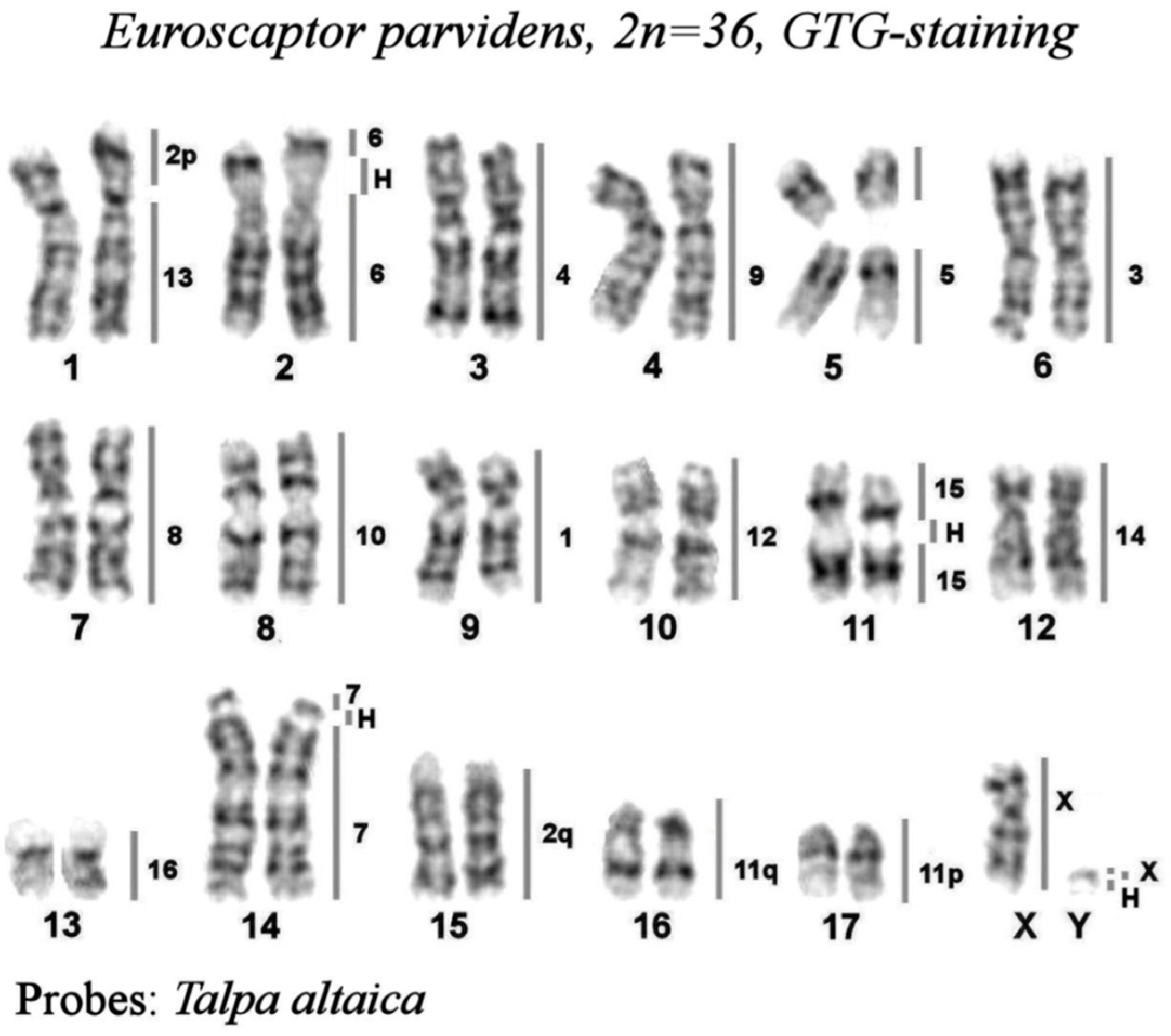 Preprints 76855 g002