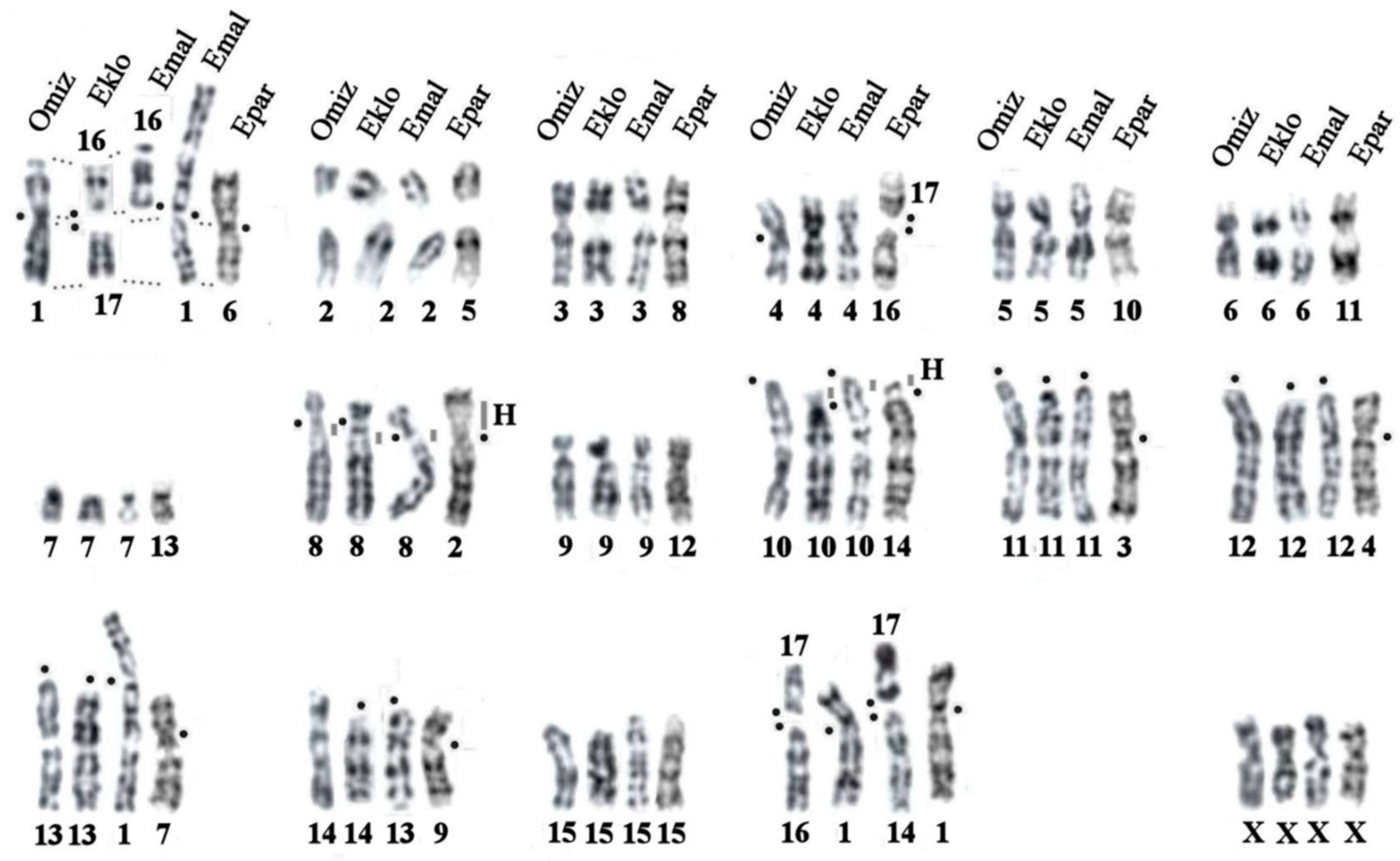 Preprints 76855 g003