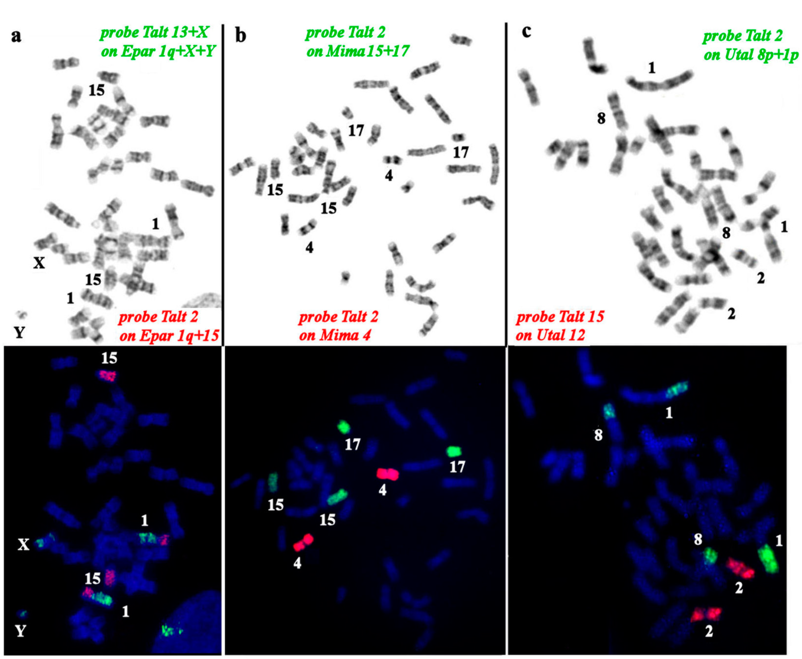 Preprints 76855 g004