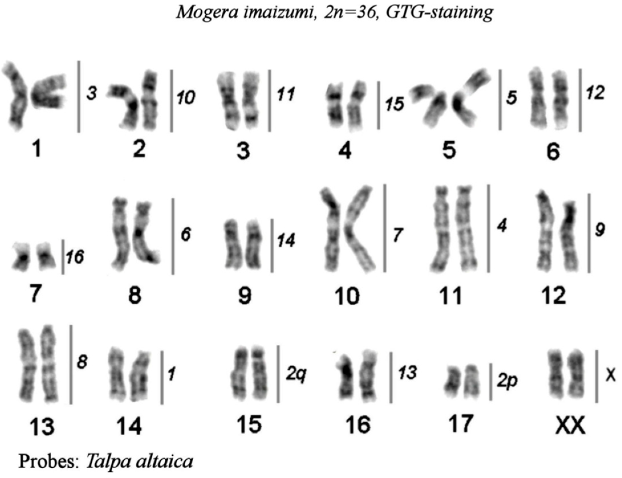 Preprints 76855 g005