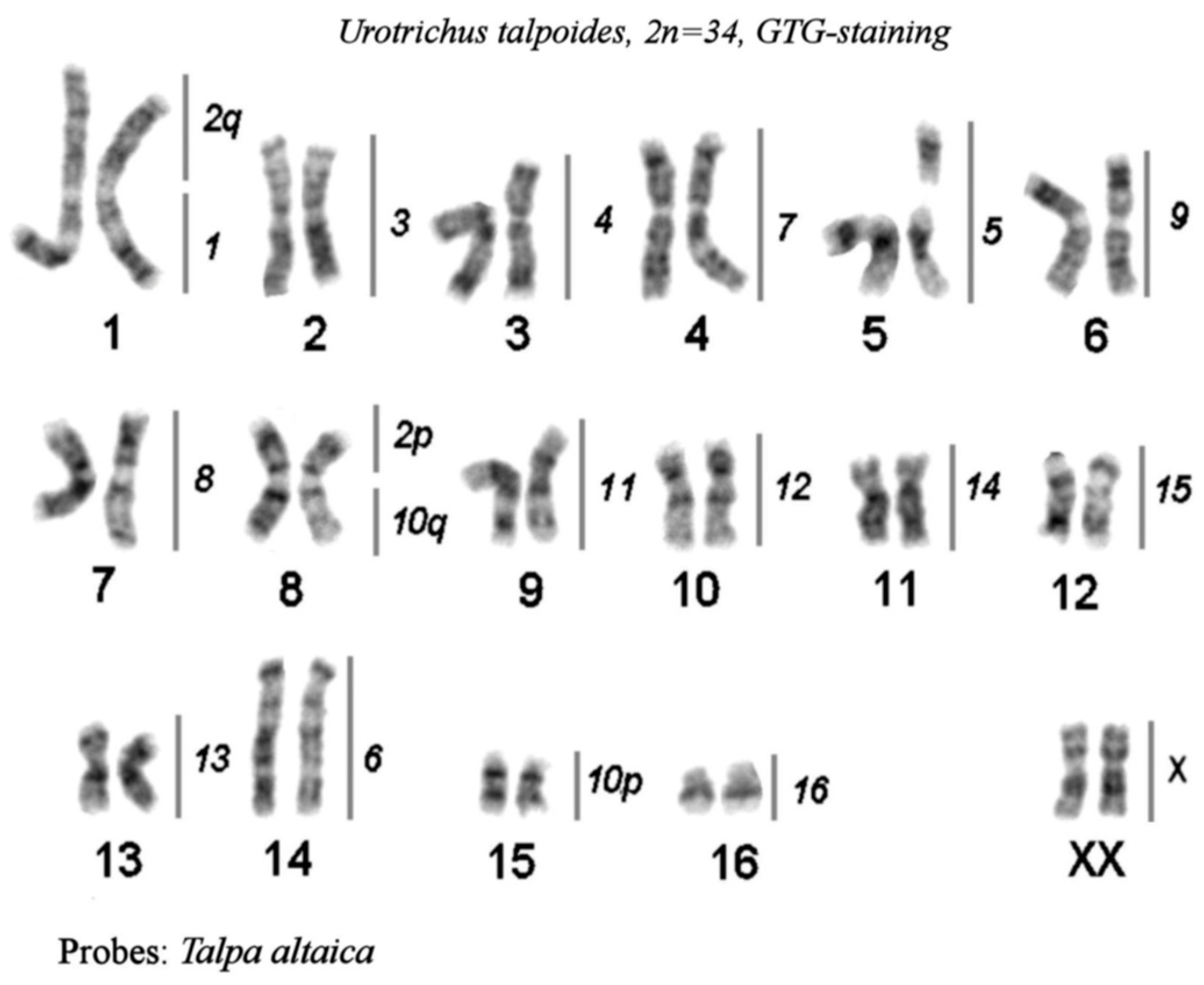 Preprints 76855 g006