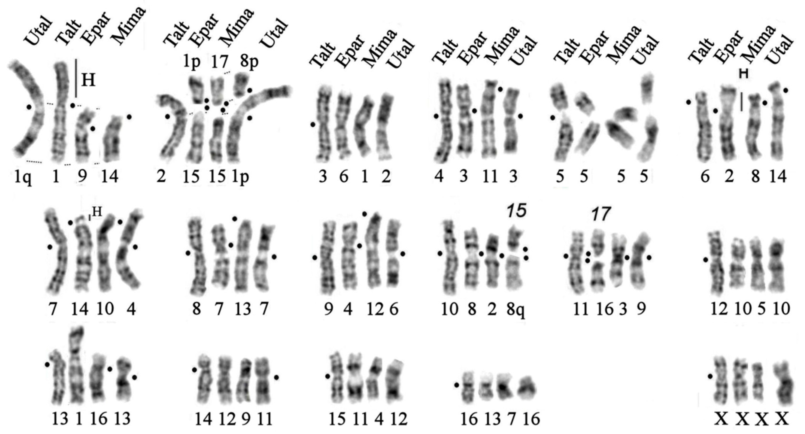 Preprints 76855 g007