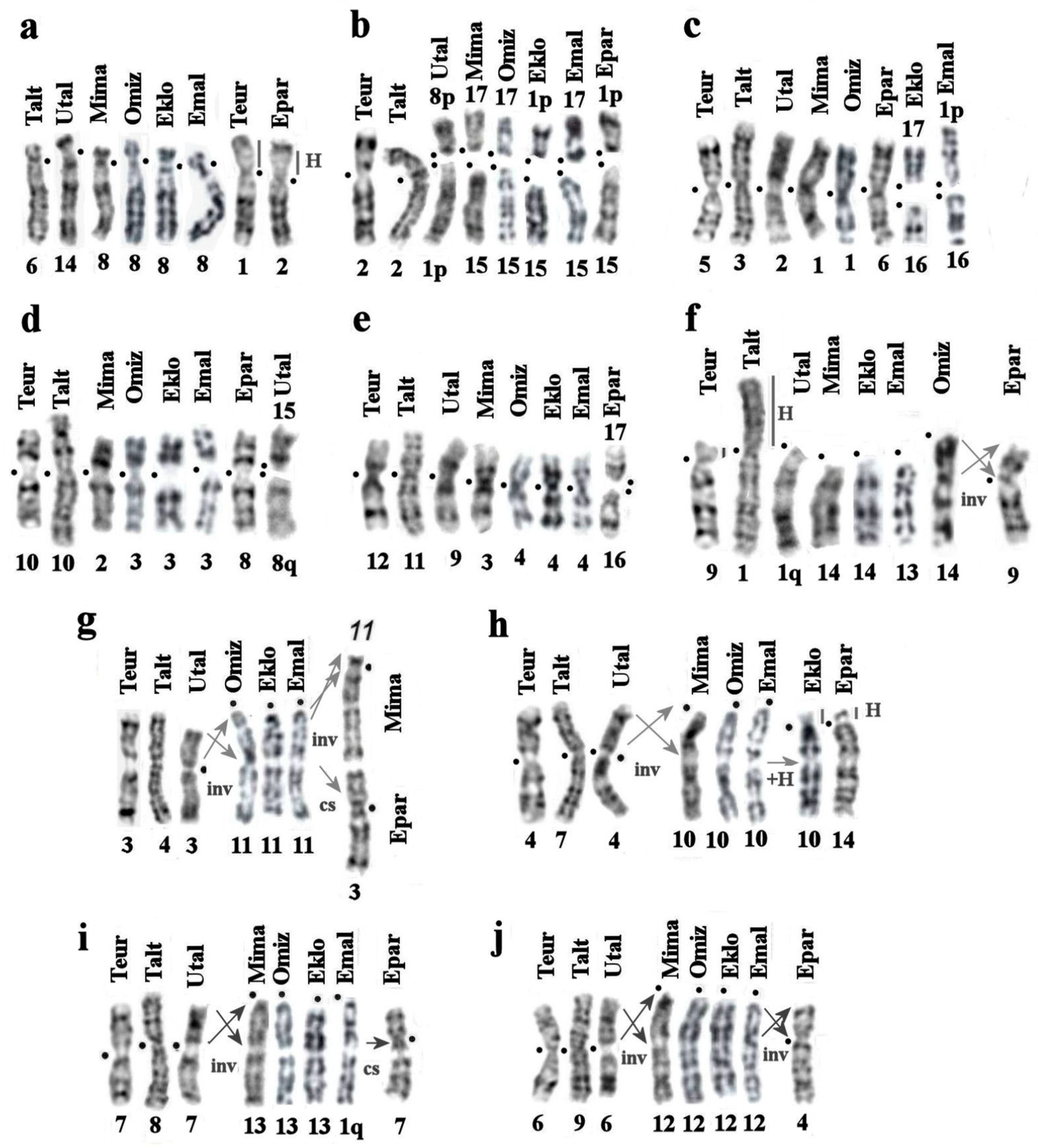 Preprints 76855 g008