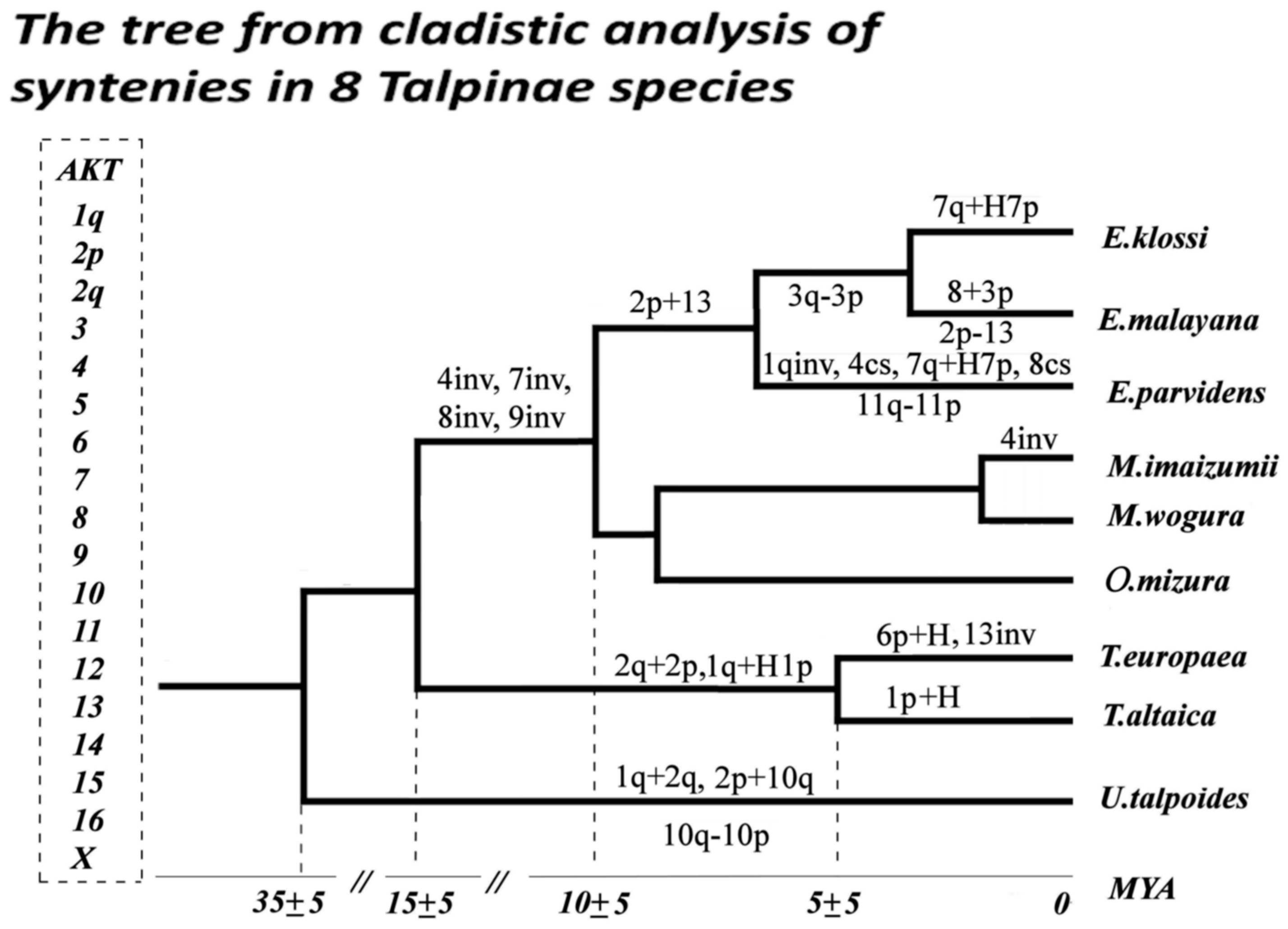 Preprints 76855 g009