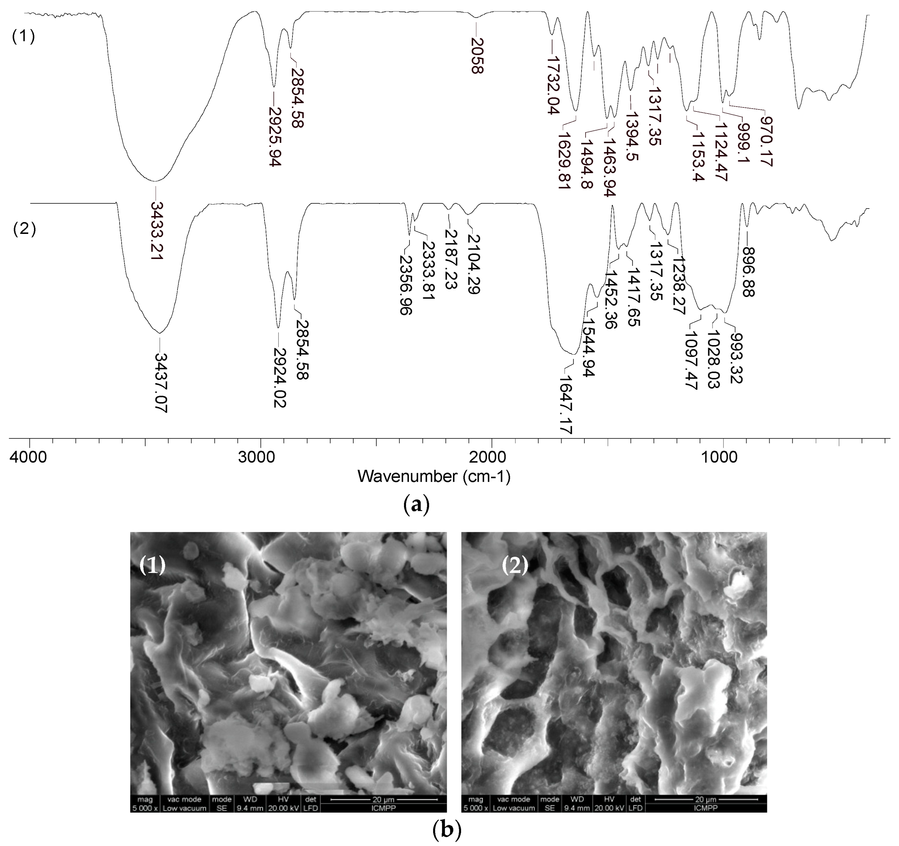 Preprints 71824 g010