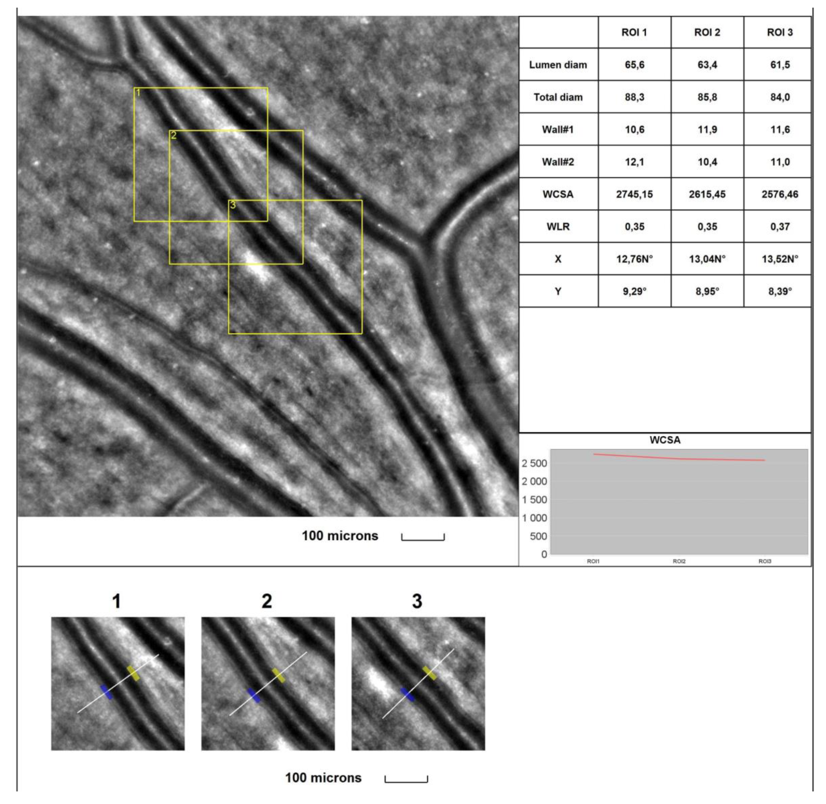 Preprints 92654 g001