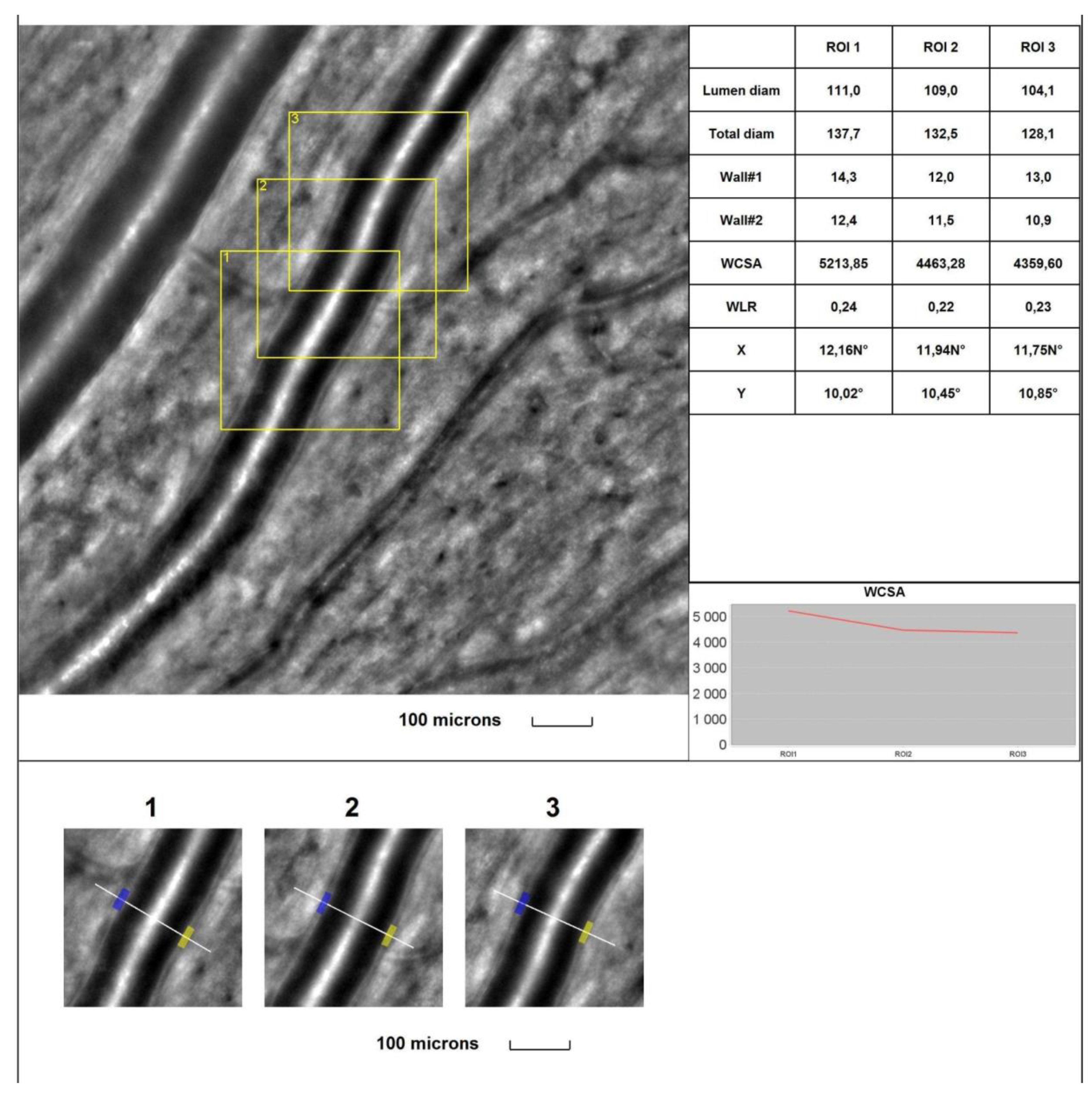 Preprints 92654 g002