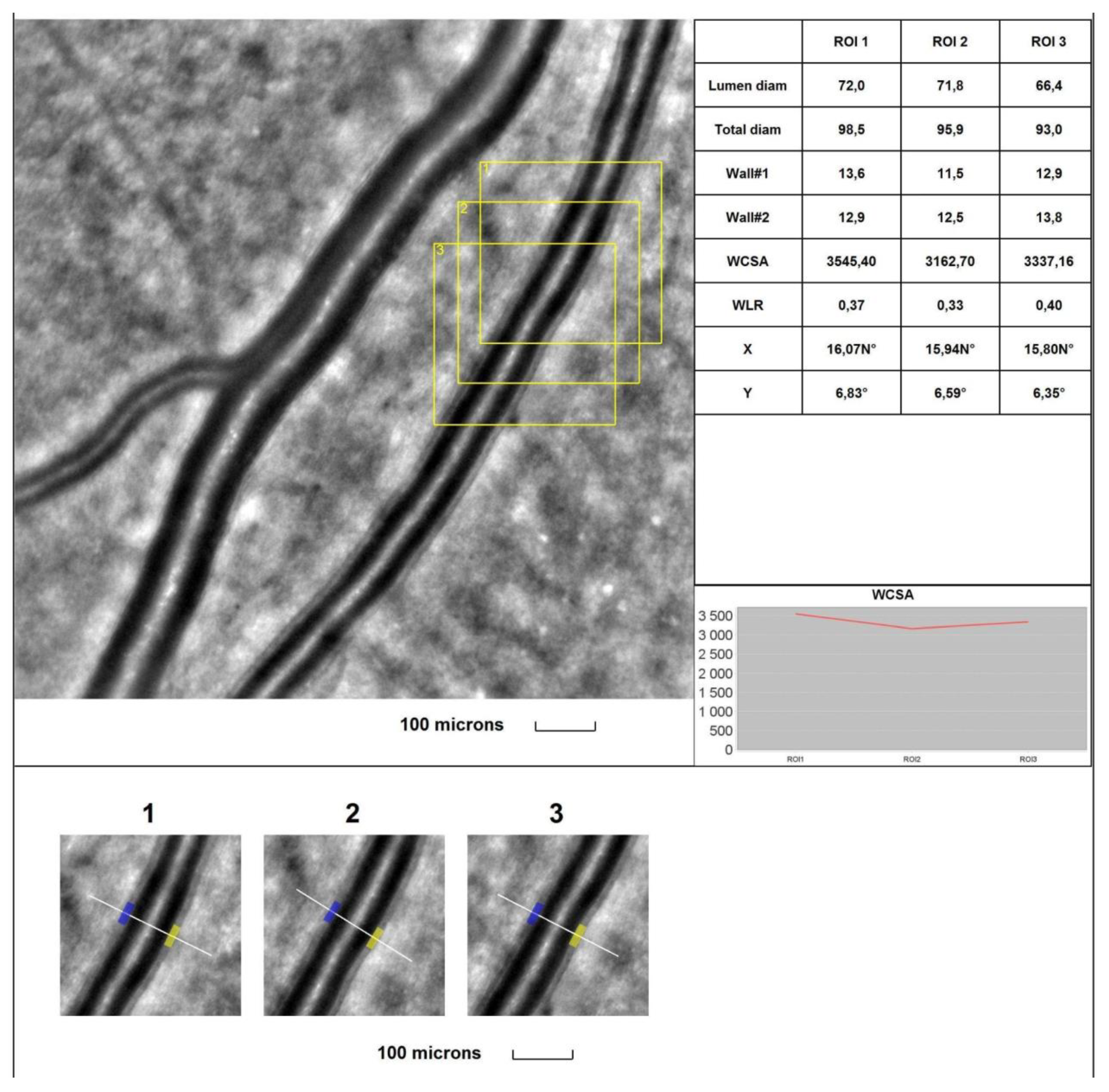 Preprints 92654 g003