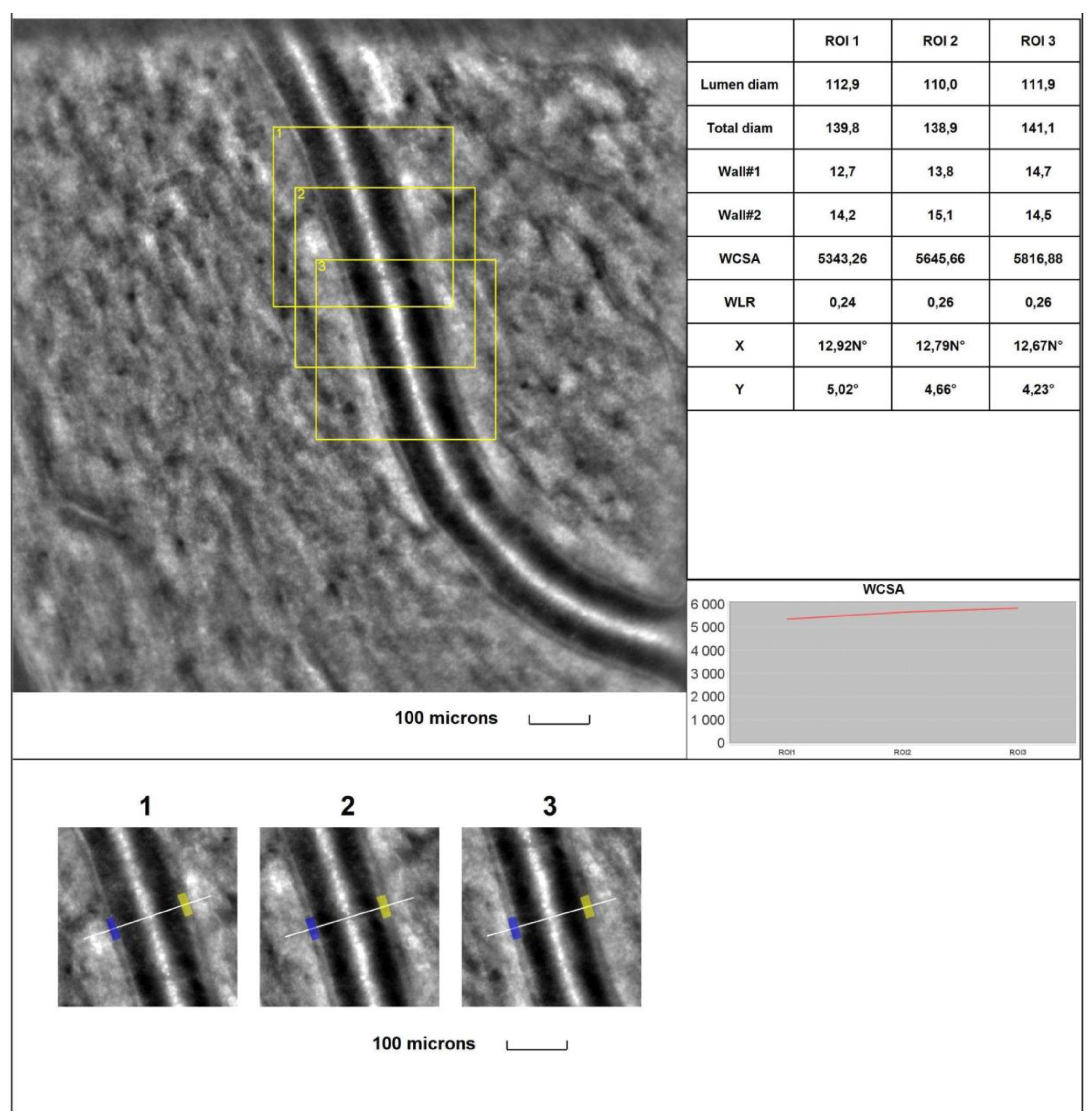 Preprints 92654 g004