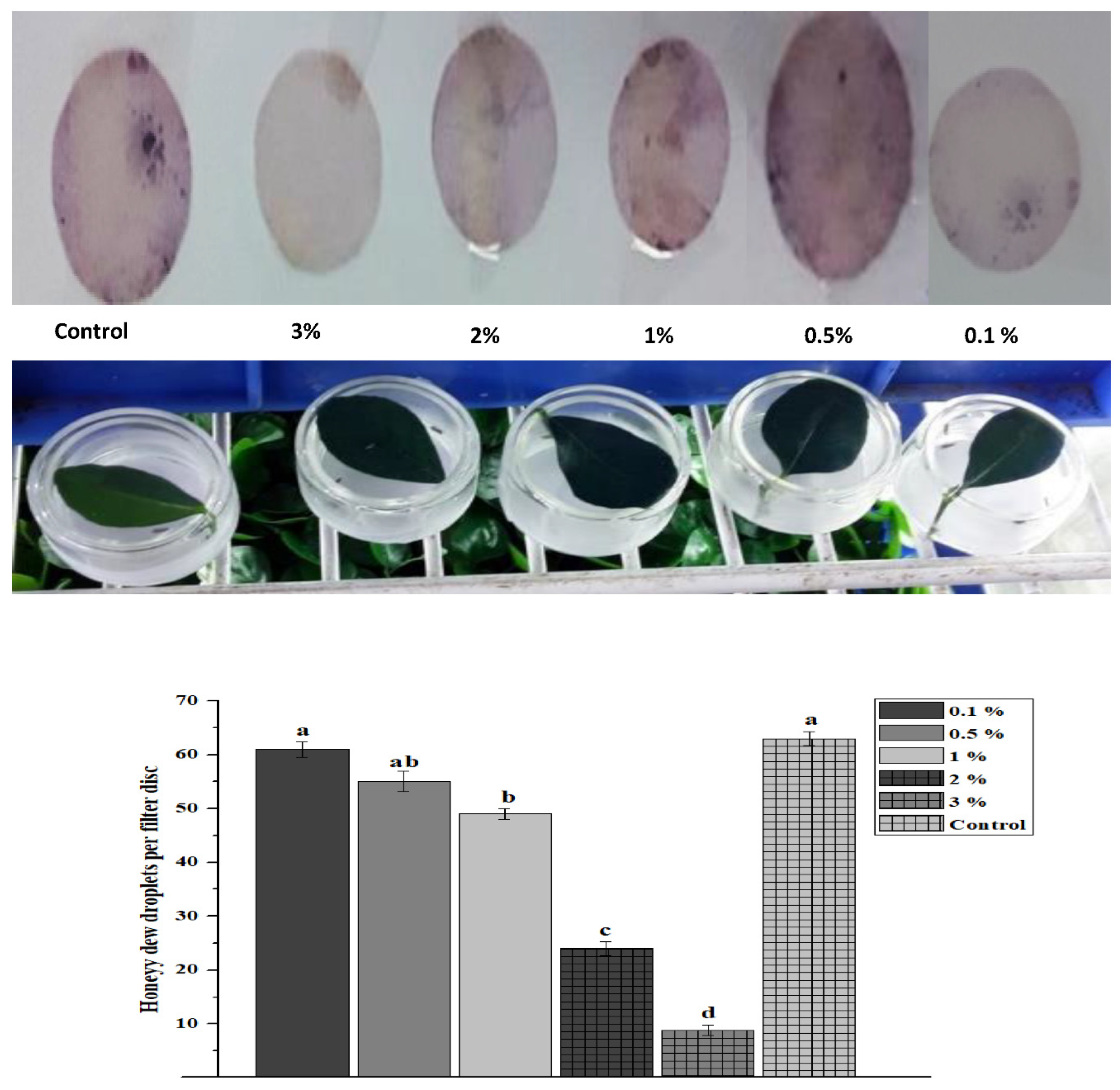 Preprints 74123 g002