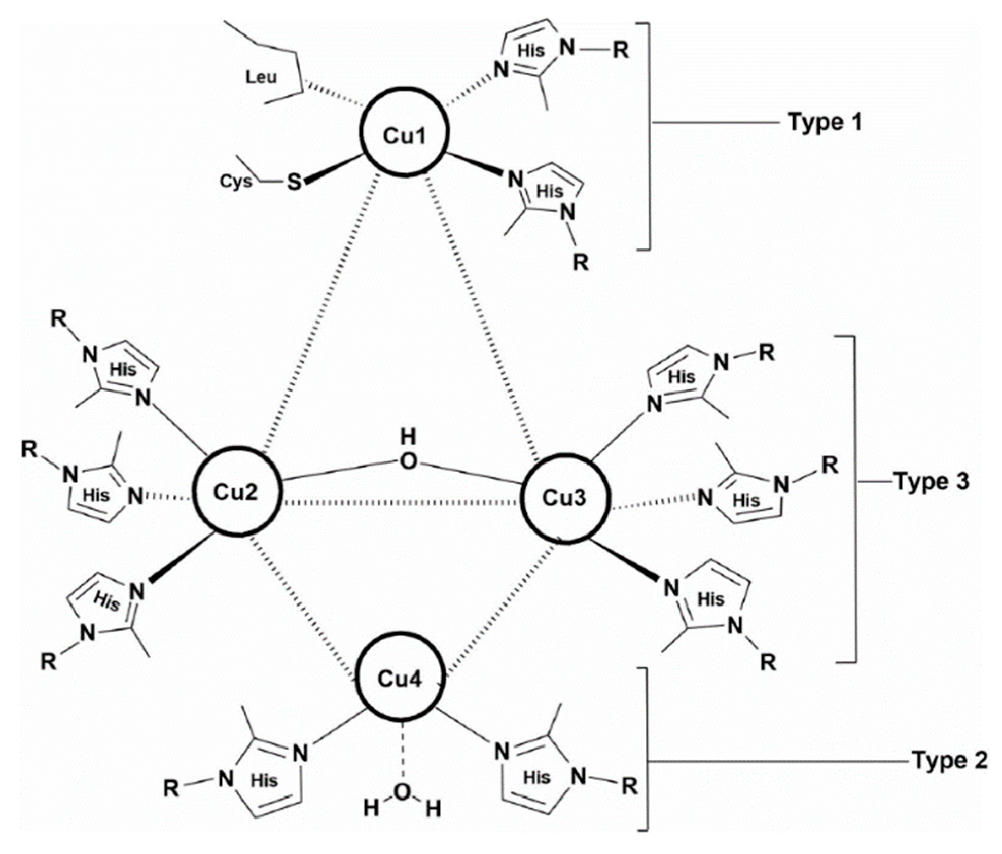 Preprints 78229 g001