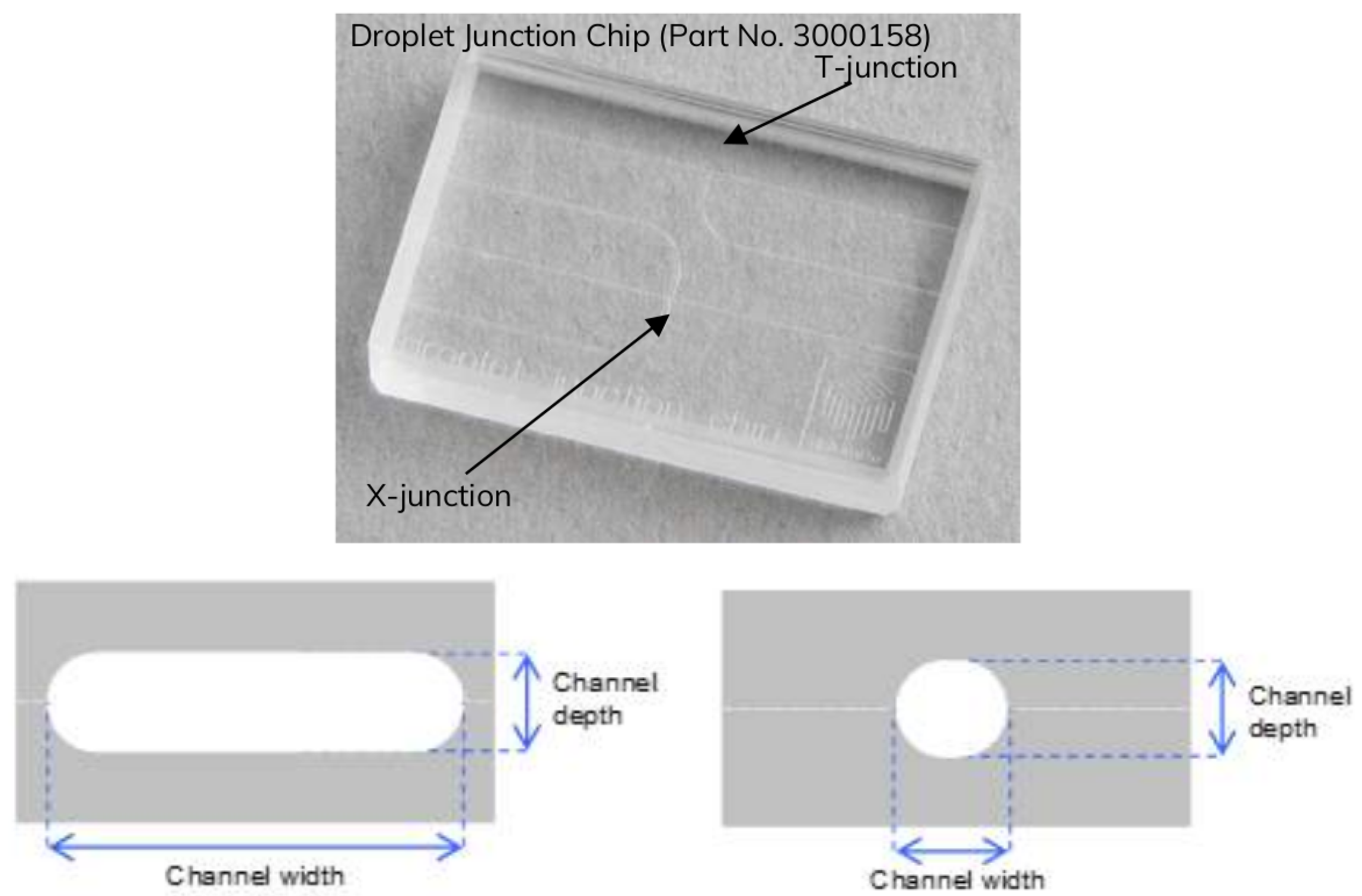 Preprints 97066 g001