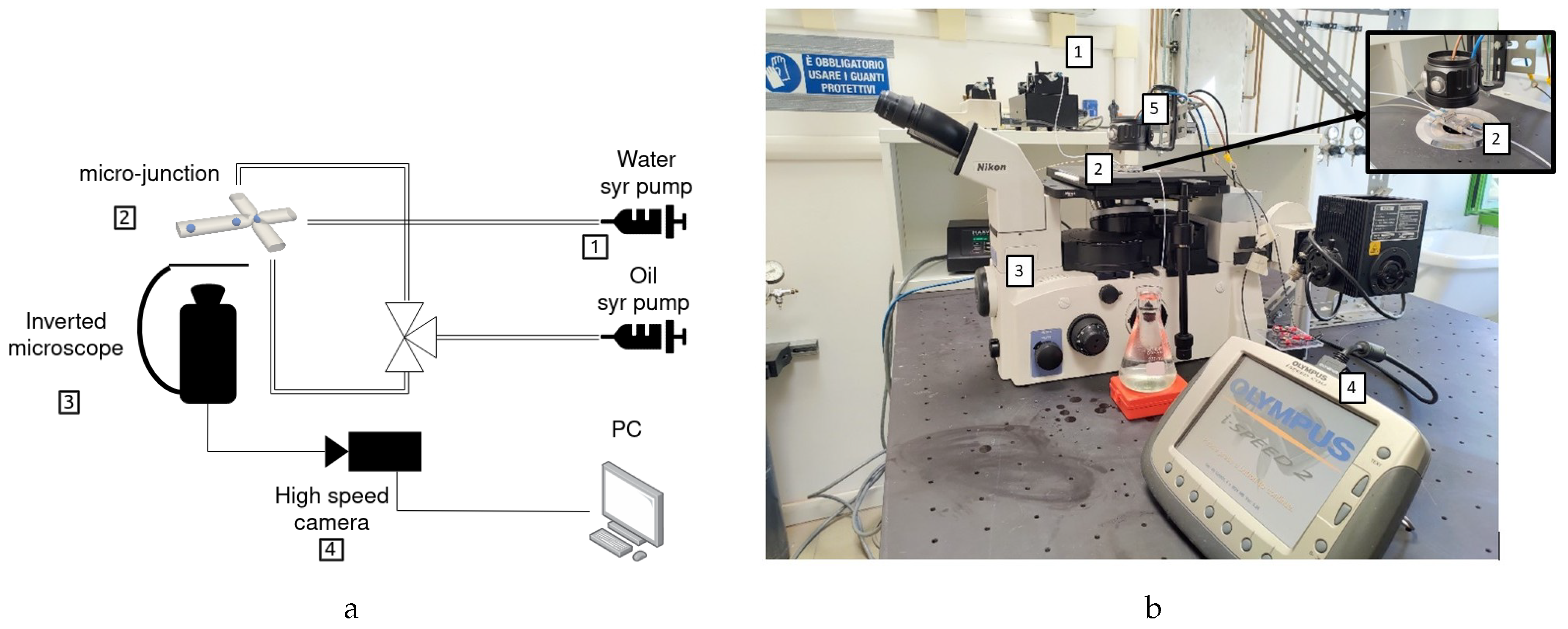 Preprints 97066 g004