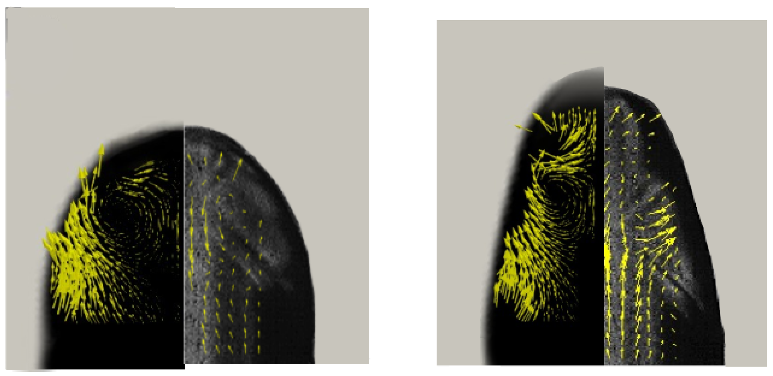 Preprints 97066 g007