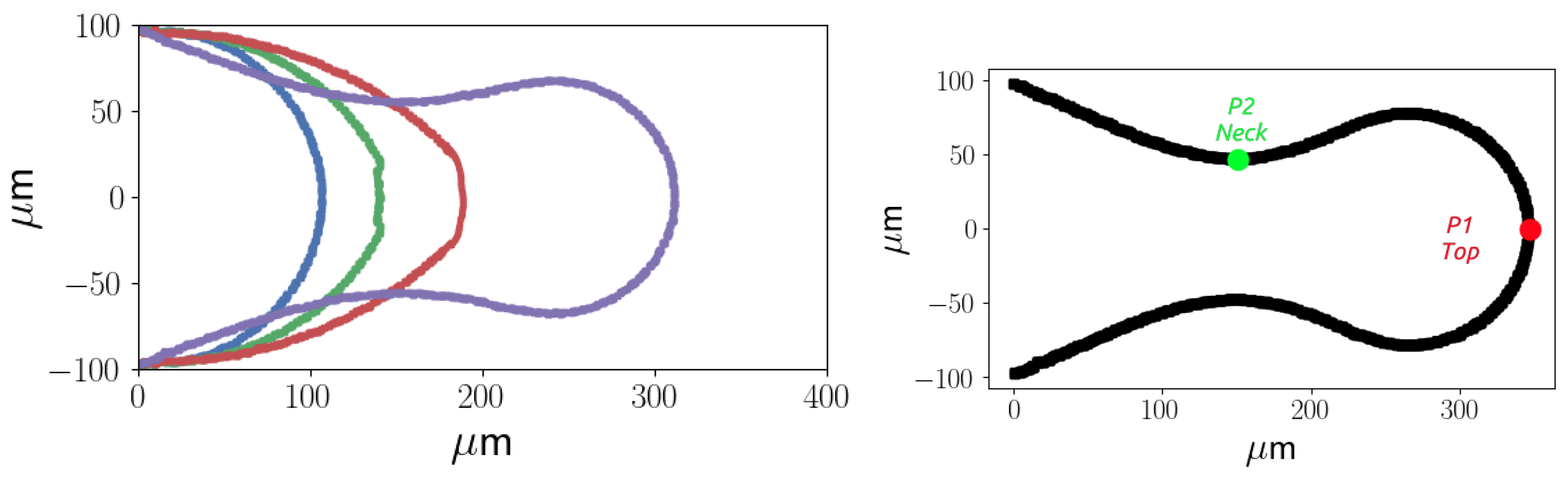 Preprints 97066 g008