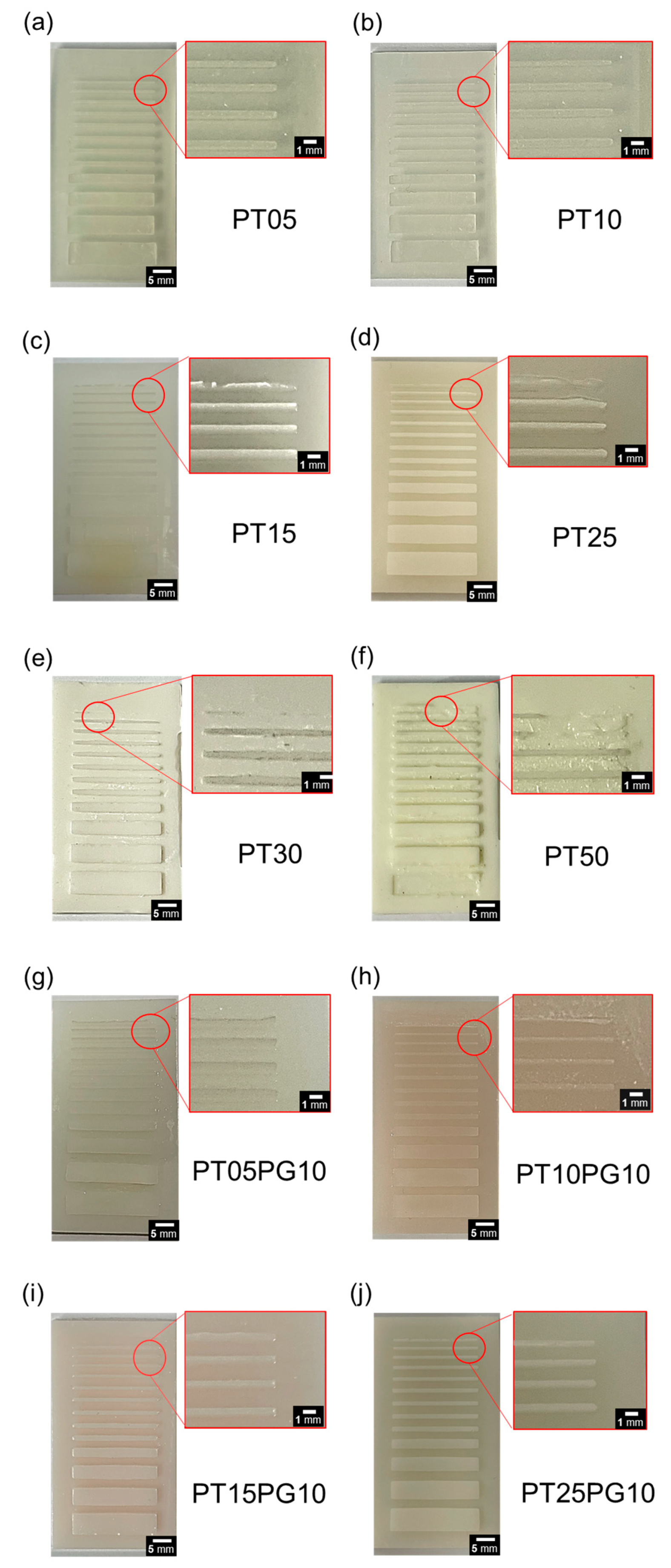 Preprints 90917 g006