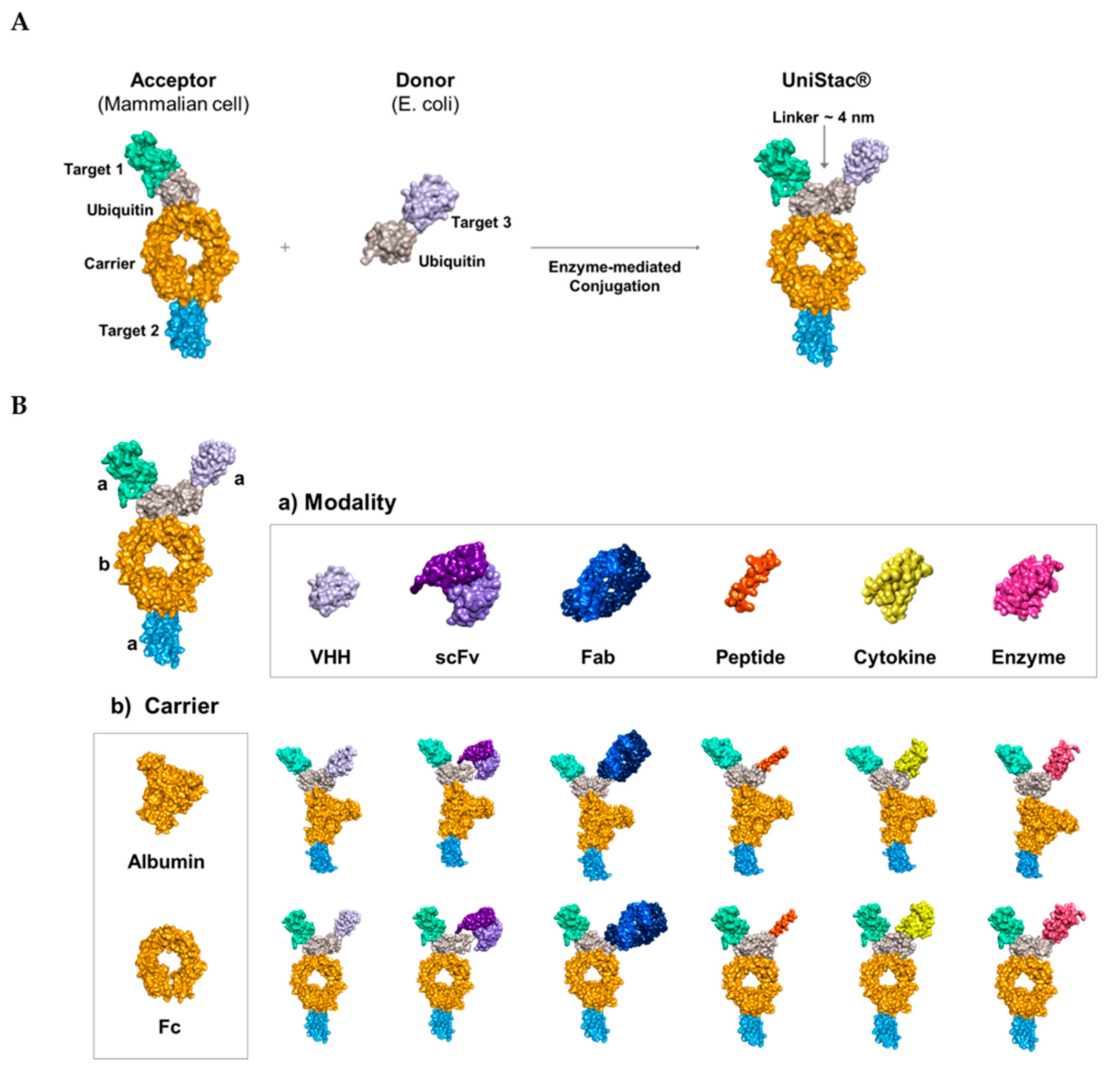 Preprints 84978 g001