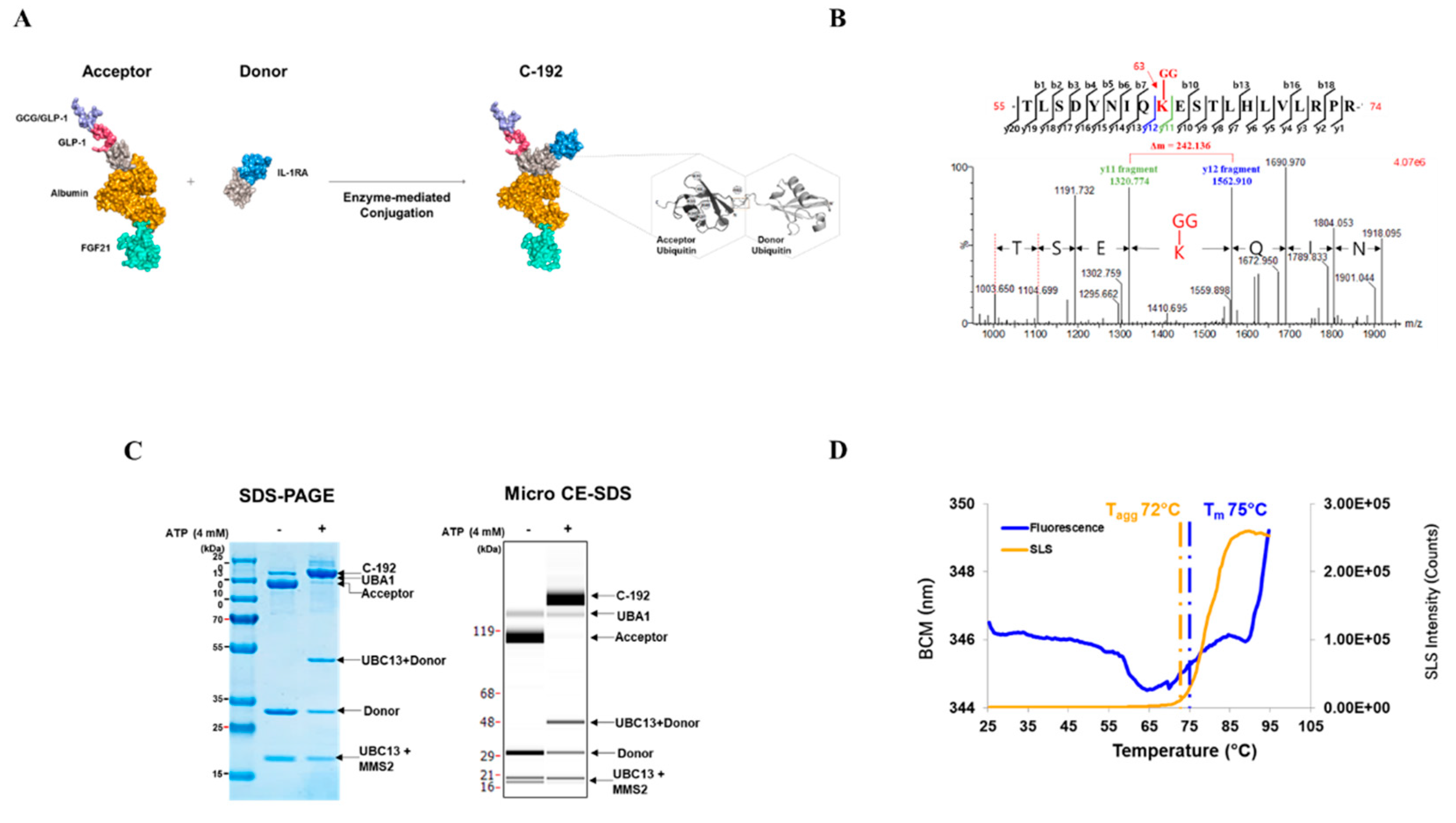 Preprints 84978 g002